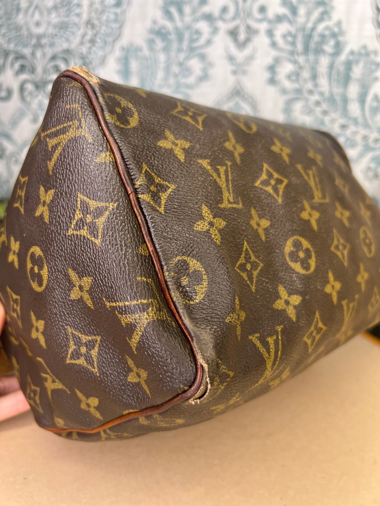 Louis Vuitton Speedy 25 (Project)