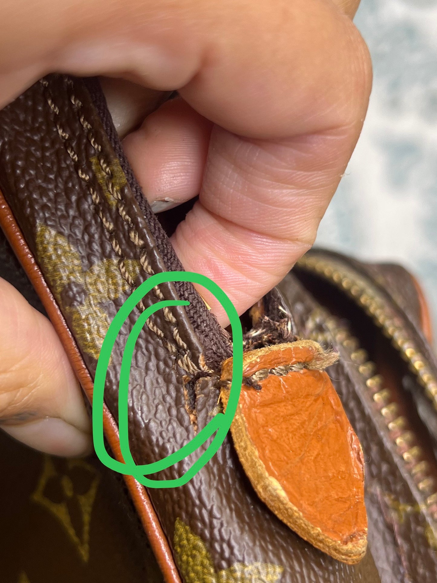 Louis Vuitton Project Amazon