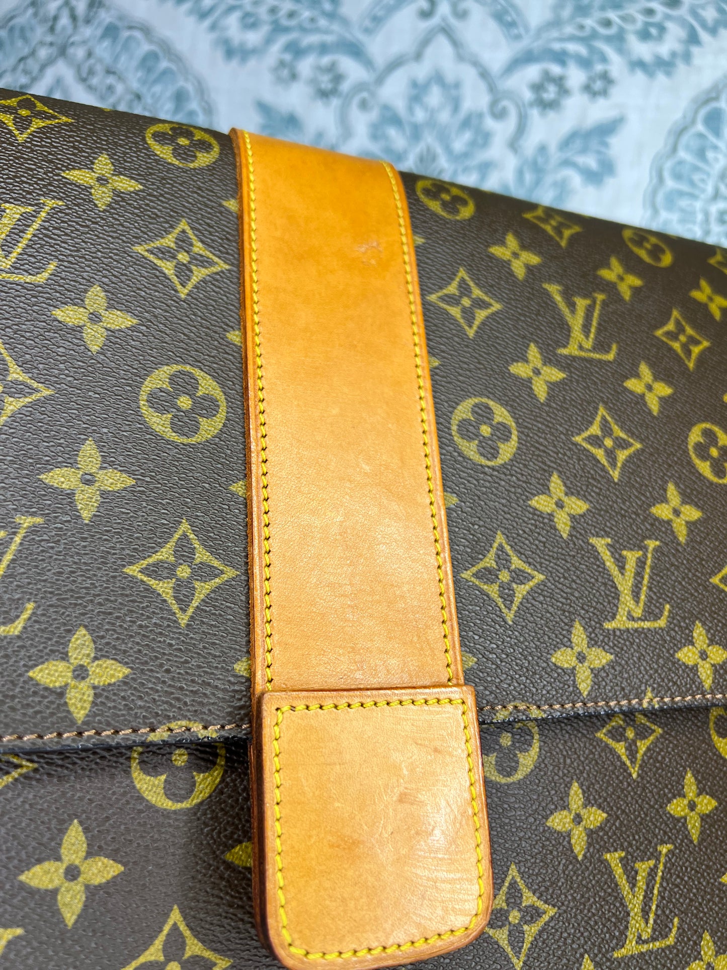 Lena Portfolio Case