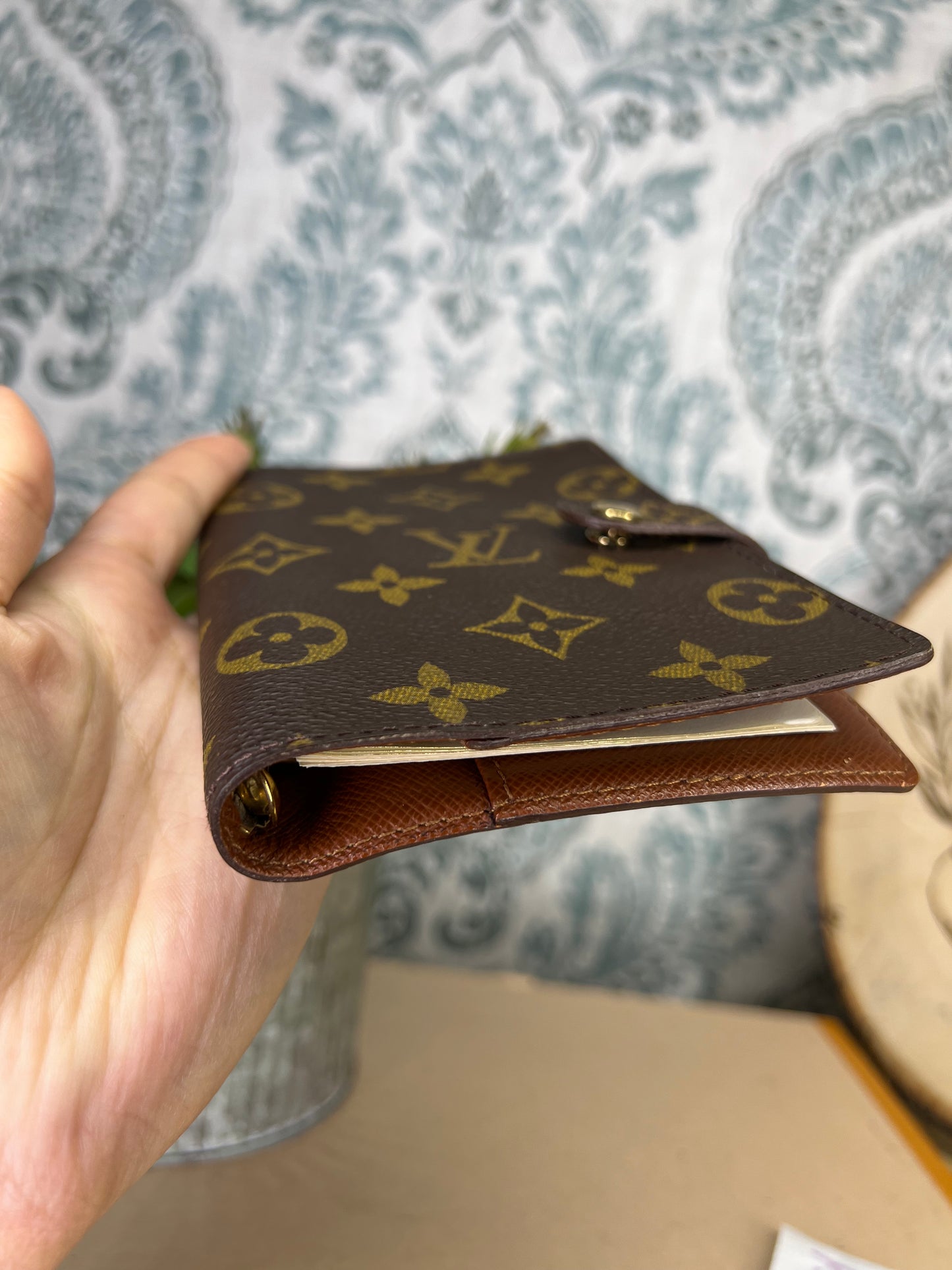 Louis Vuitton Amazon PM #1