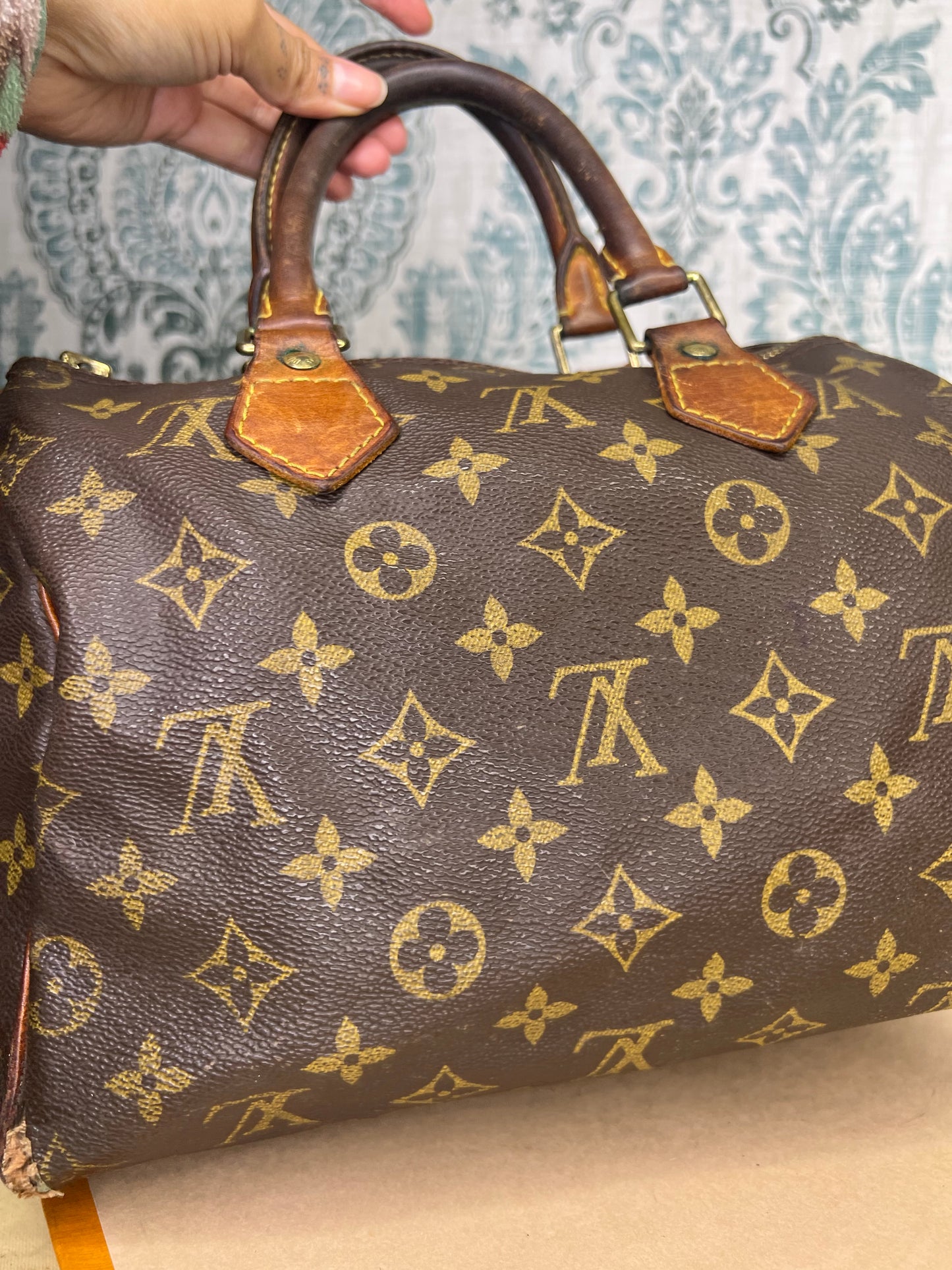Louis Vuitton Speedy 25 (Project)