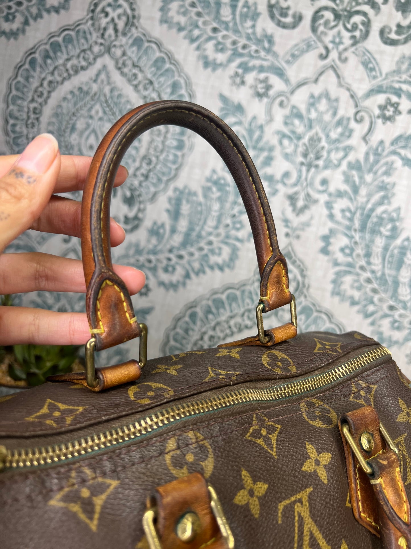 Louis Vuitton Speedy 25 (Project)