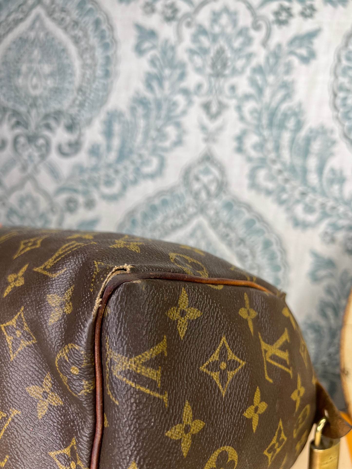 Louis Vuitton Speedy 25 (Project)