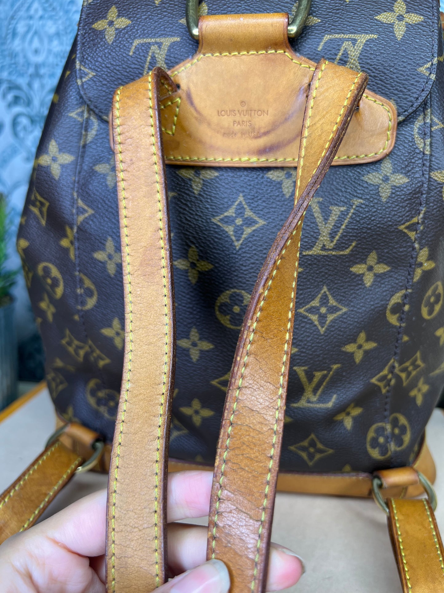 Louis Vuitton Montsouris MM #1