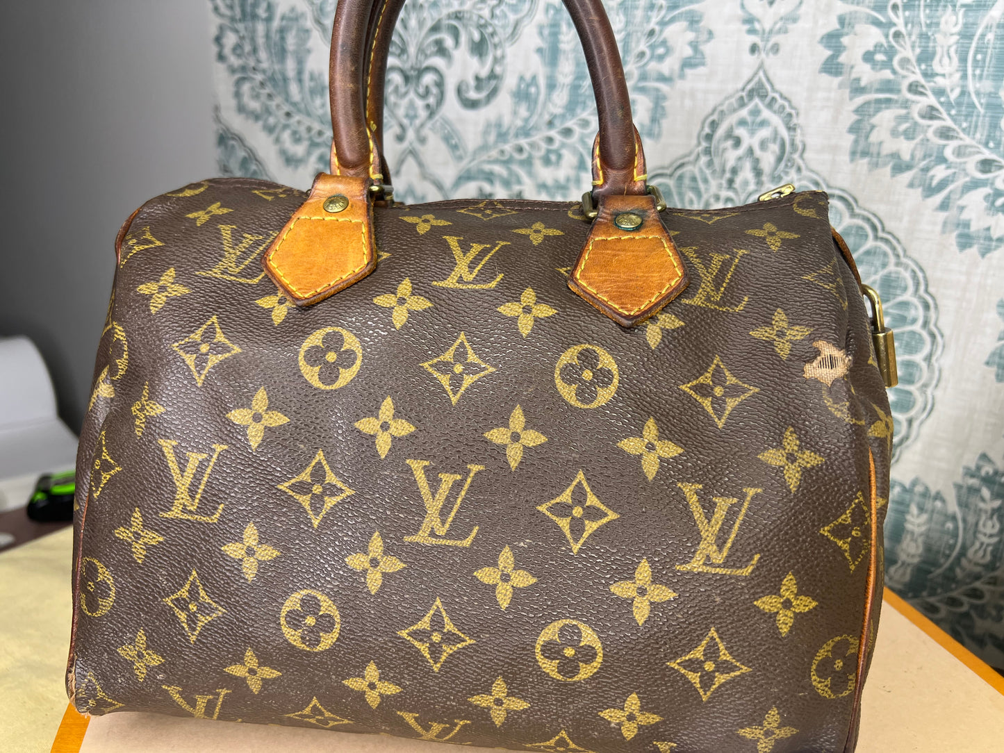 Louis Vuitton Speedy 25 (Project)