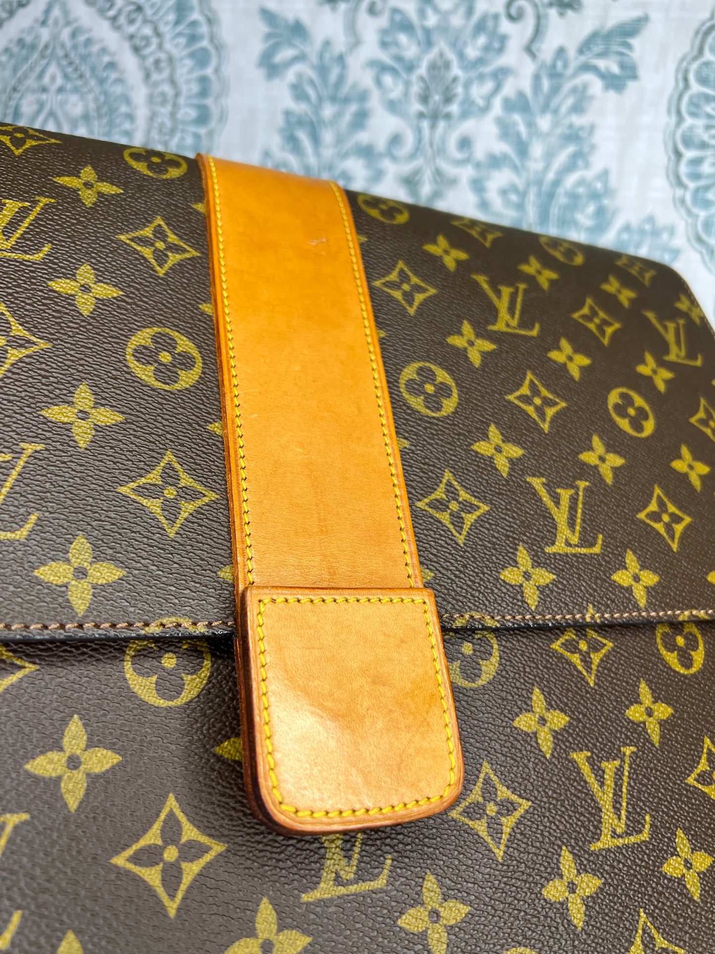 Lena Portfolio Case