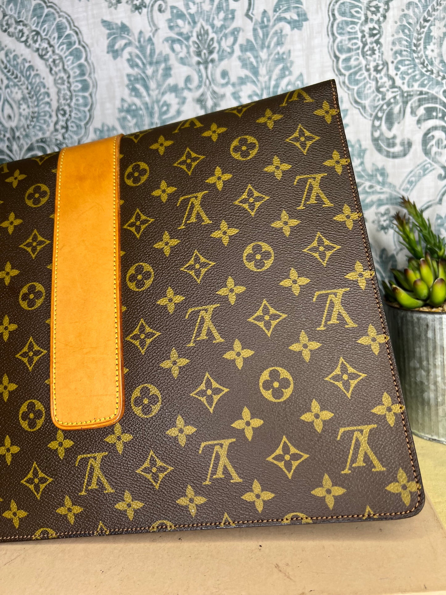 Lena Portfolio Case
