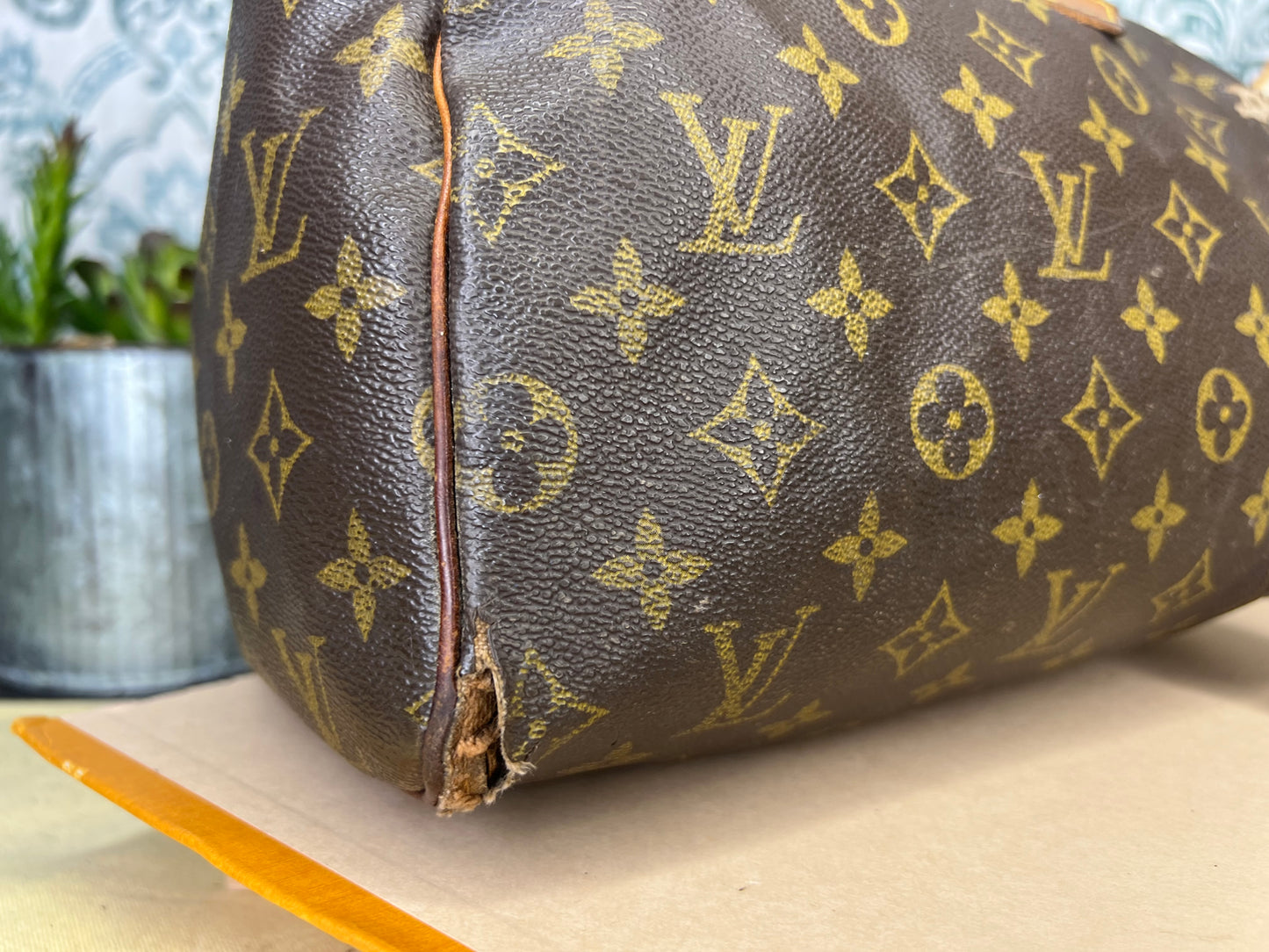 Louis Vuitton Speedy 25 (Project)