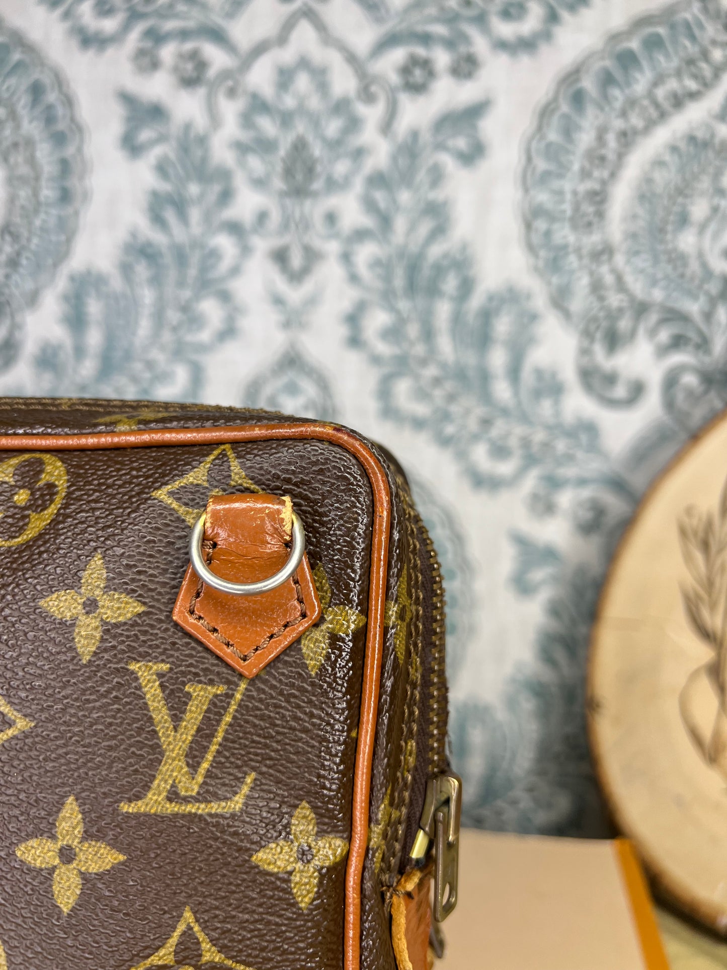 Louis Vuitton Project Amazon