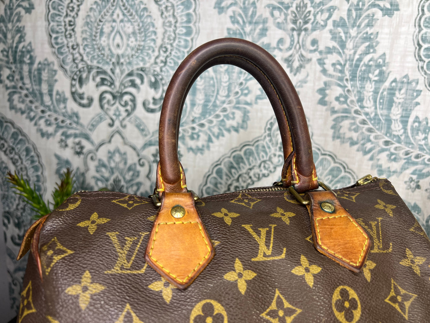 Louis Vuitton Speedy 25 (Project)