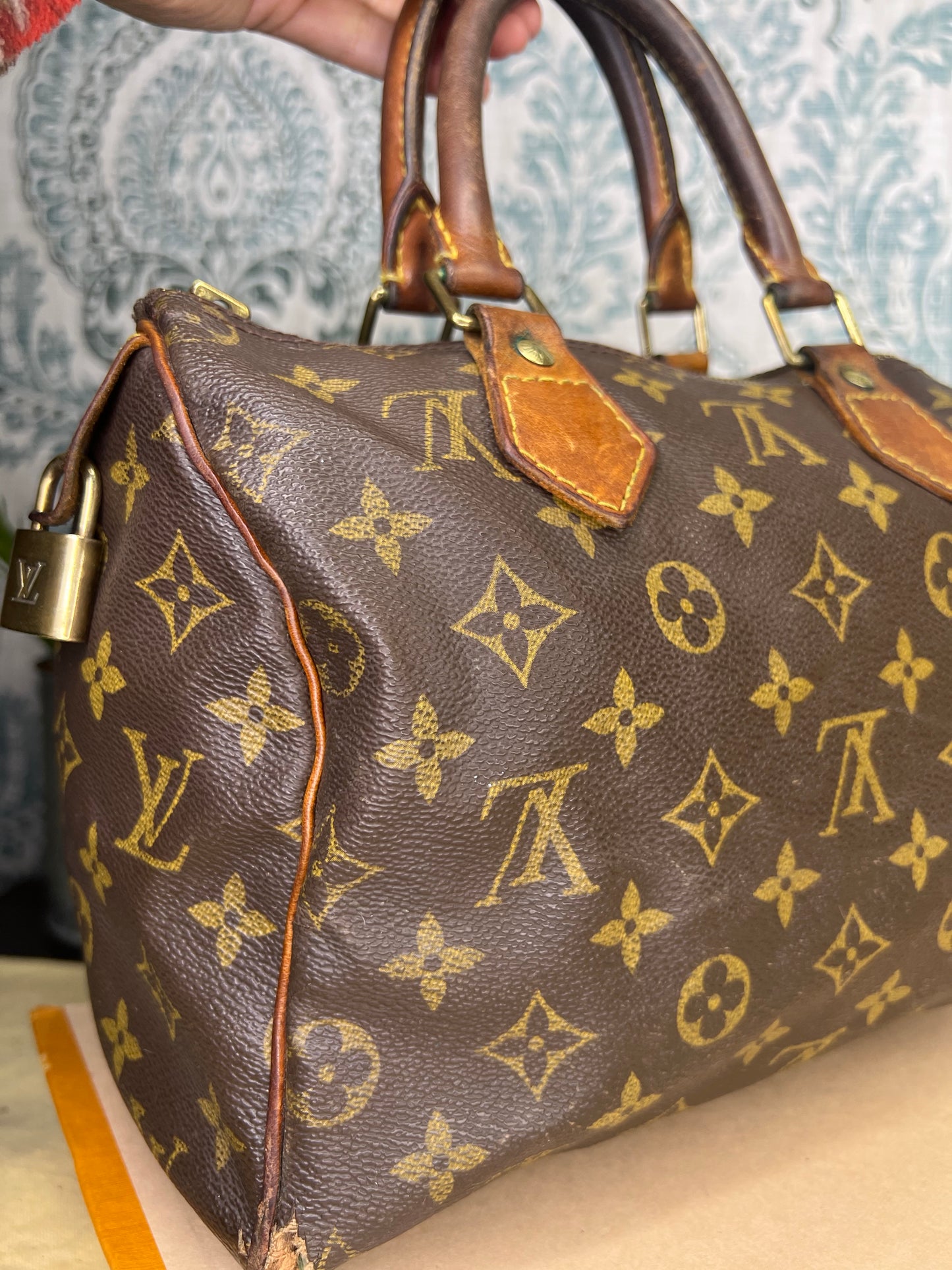 Louis Vuitton Speedy 25 (Project)