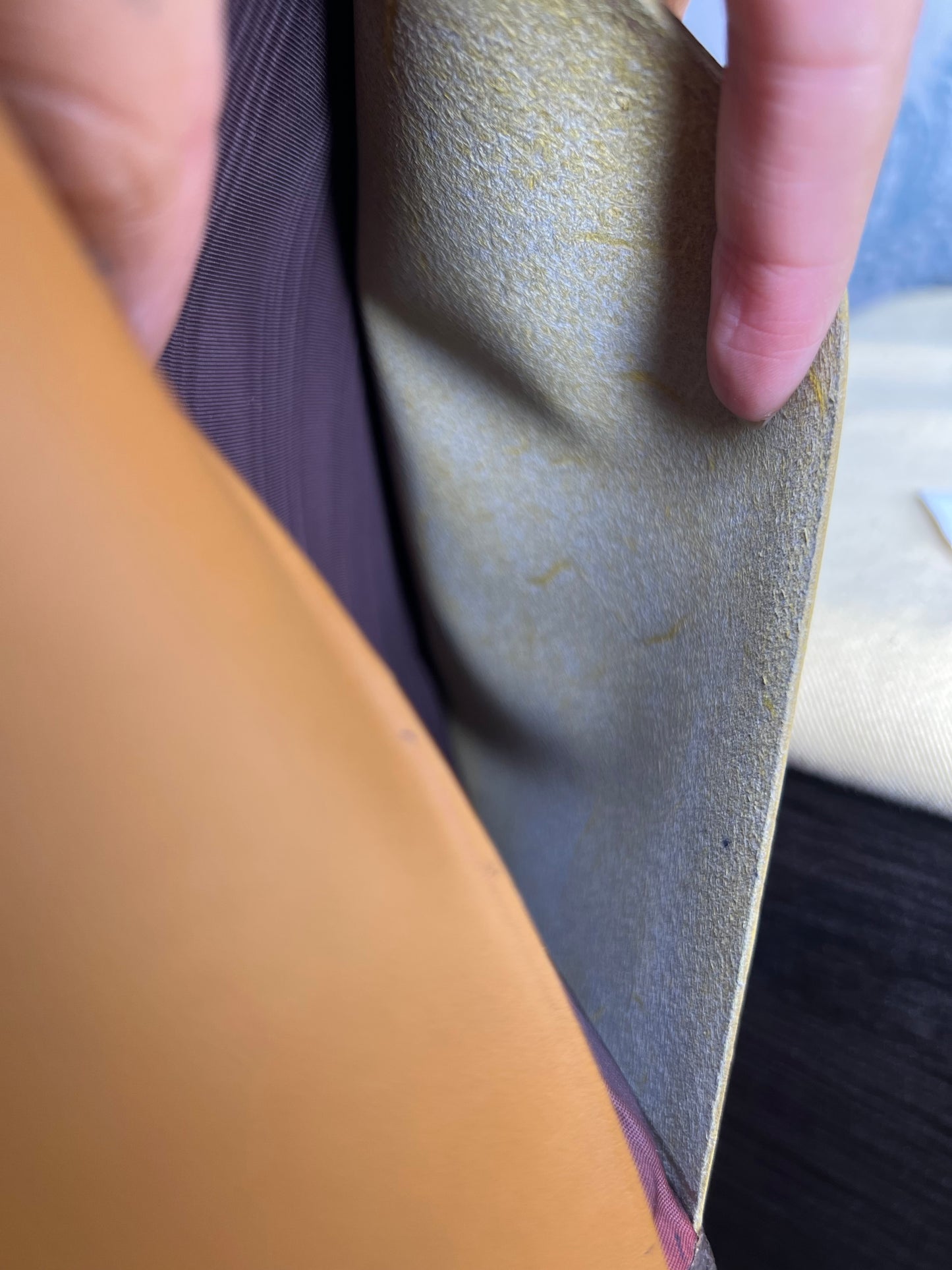 Louis Vuitton Saks Fifth Ave Agenda Cover