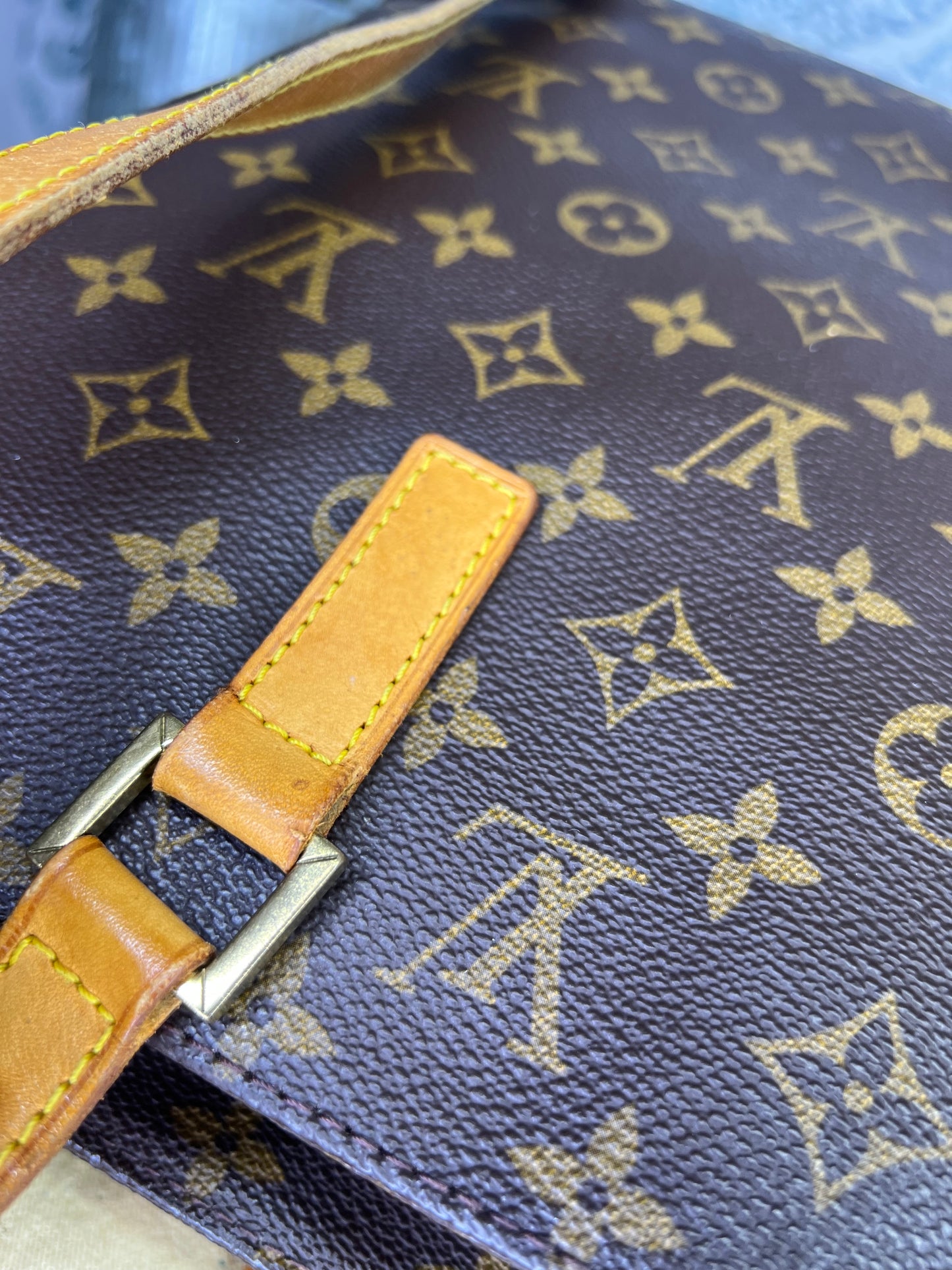 Louis Vuitton Luco Tote