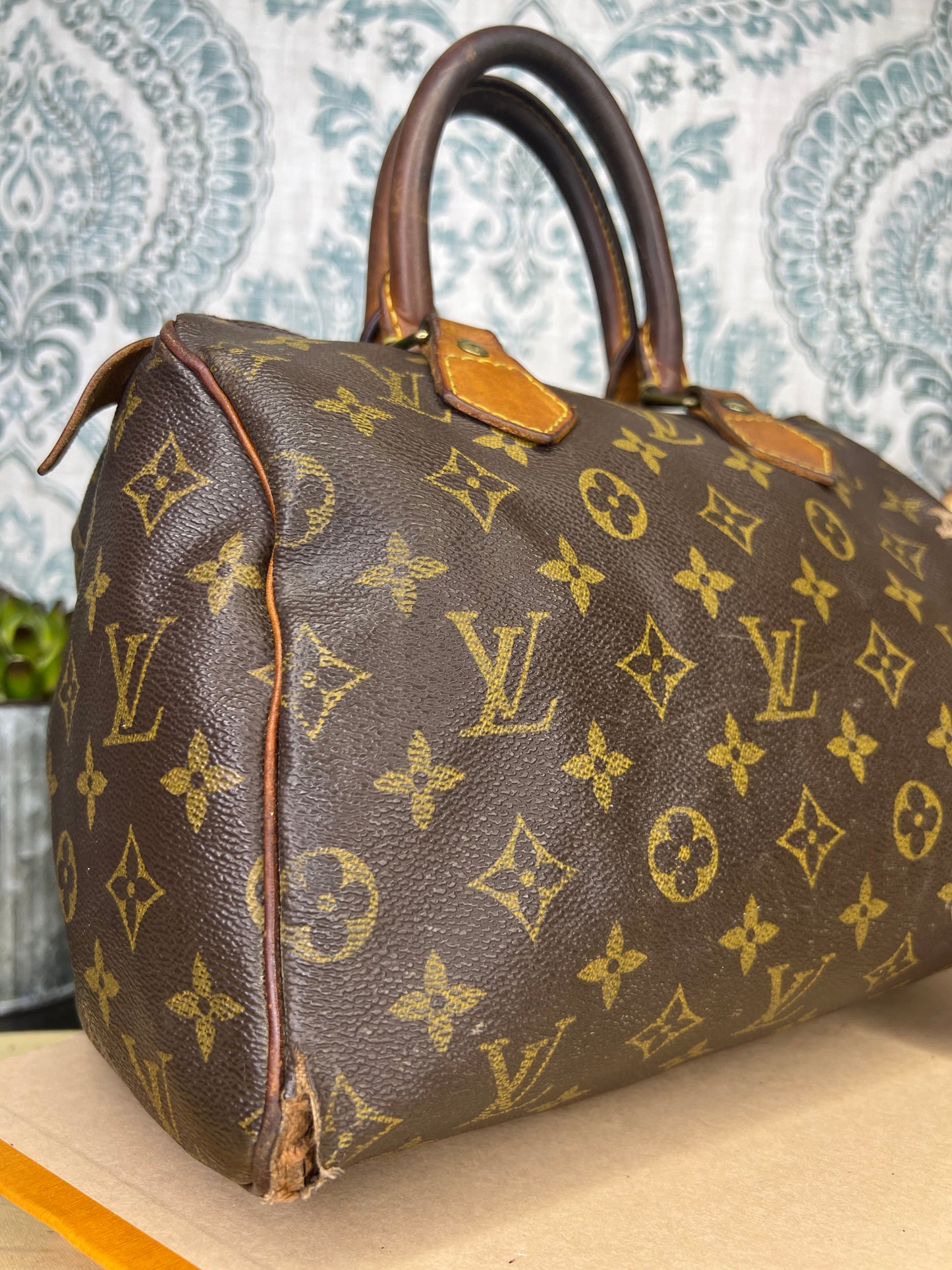 Louis Vuitton Speedy 25 (Project)