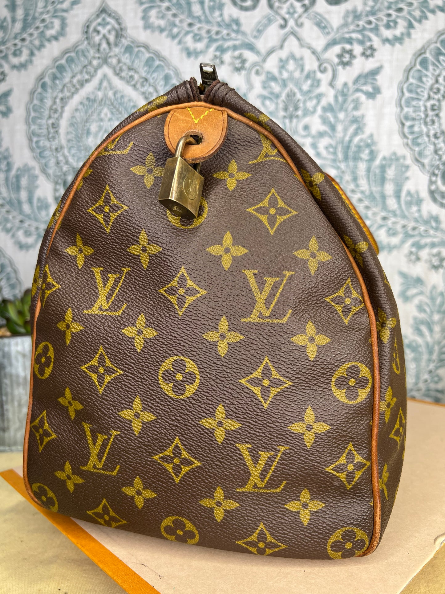 Louis Vuitton Speedy 35