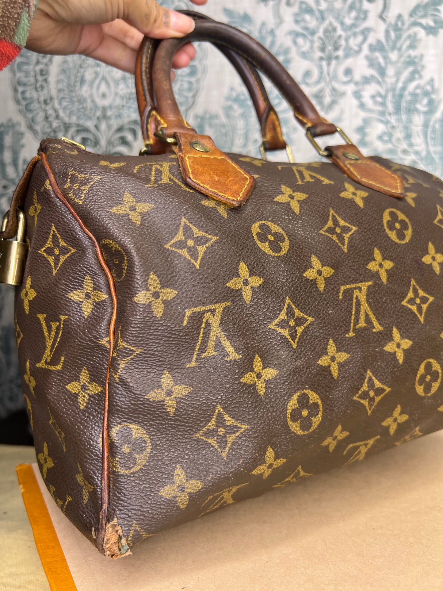 Louis Vuitton Speedy 25 (Project)