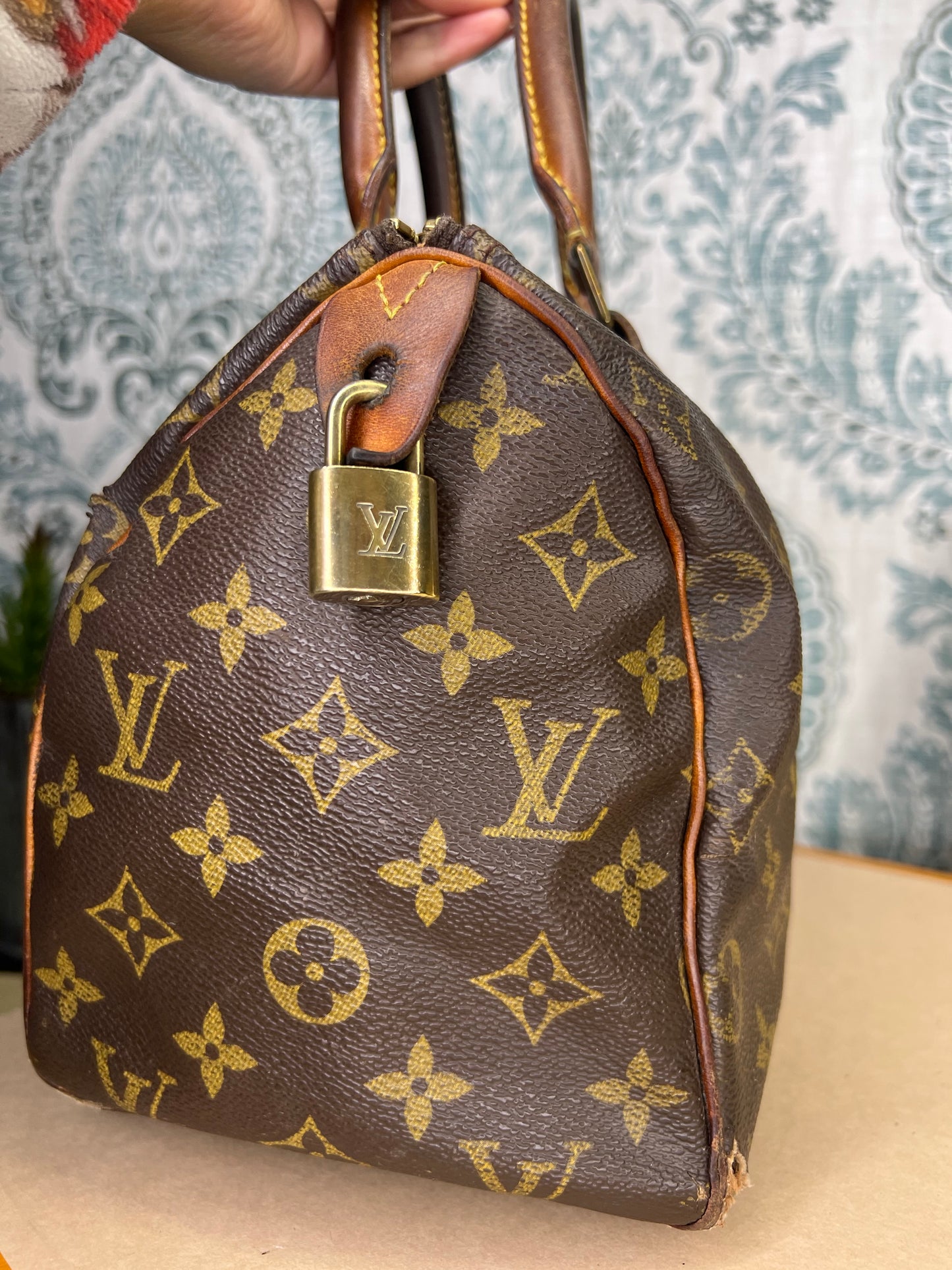 Louis Vuitton Speedy 25 (Project)