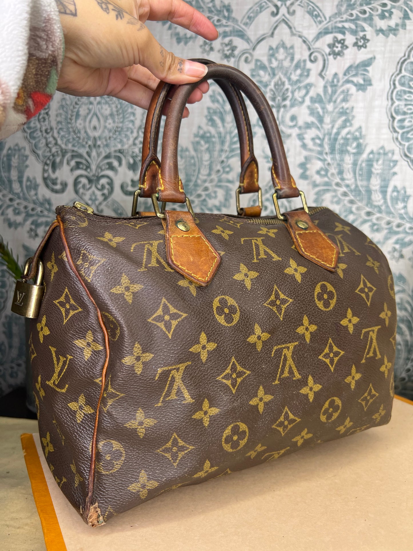 Louis Vuitton Speedy 25 (Project)