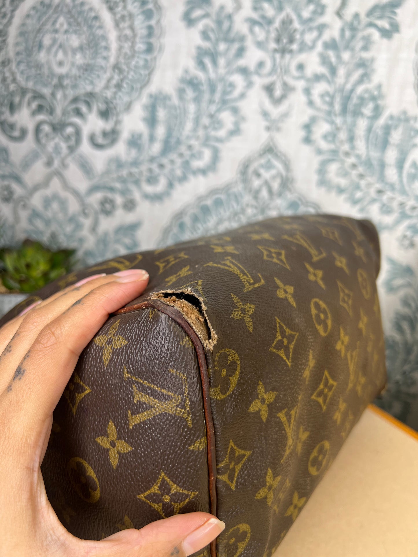 Louis Vuitton Speedy 25 (Project)