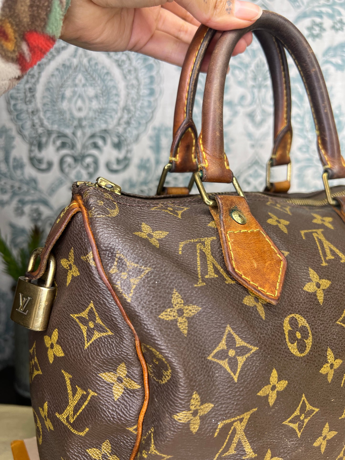 Louis Vuitton Speedy 25 (Project)