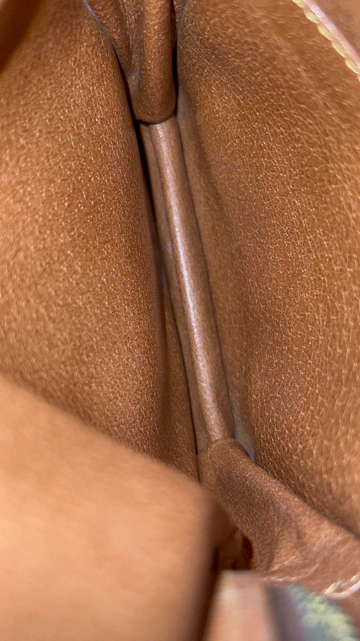 Louis Vuitton Vintage Amazone