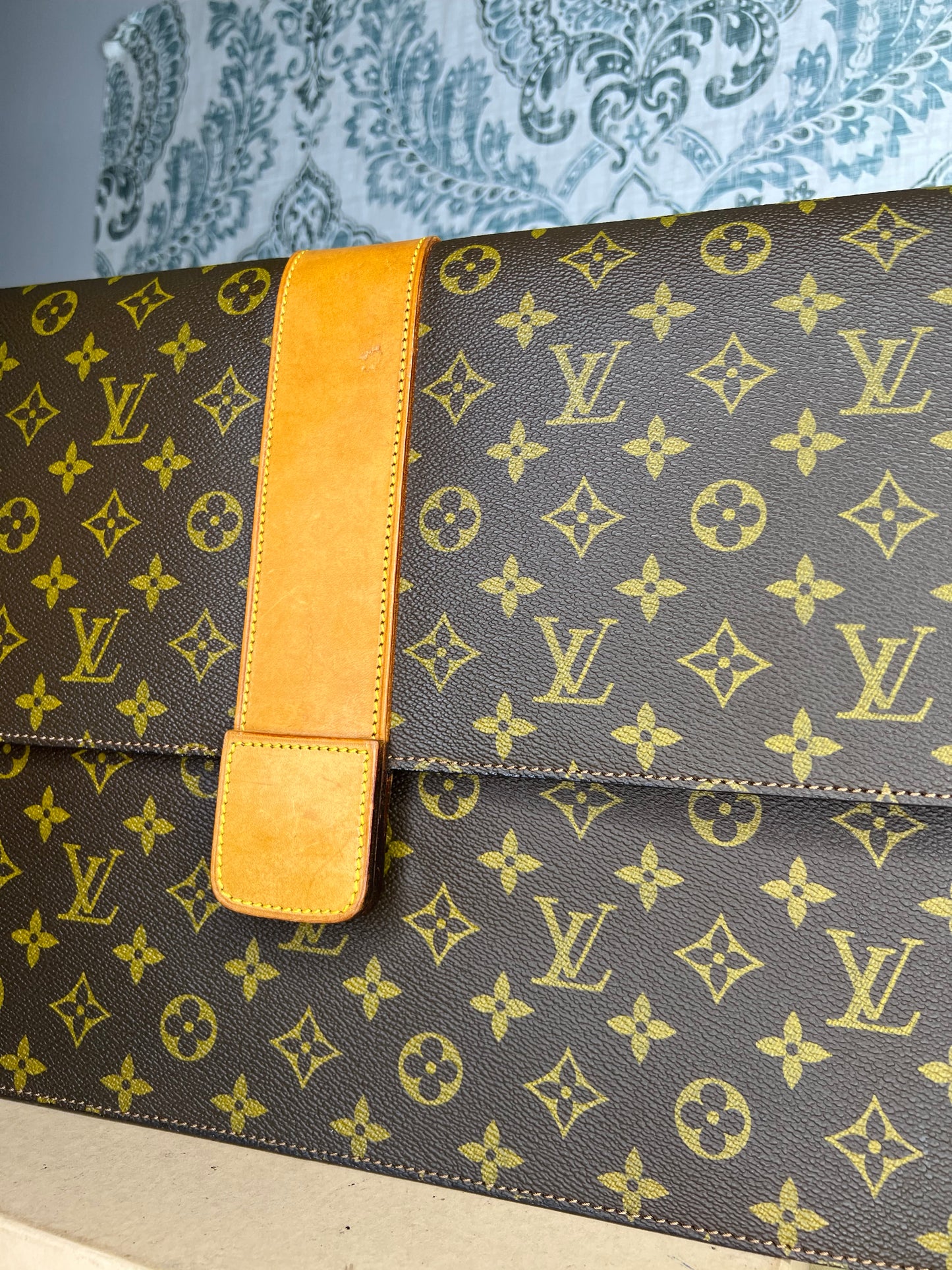 Lena Portfolio Case