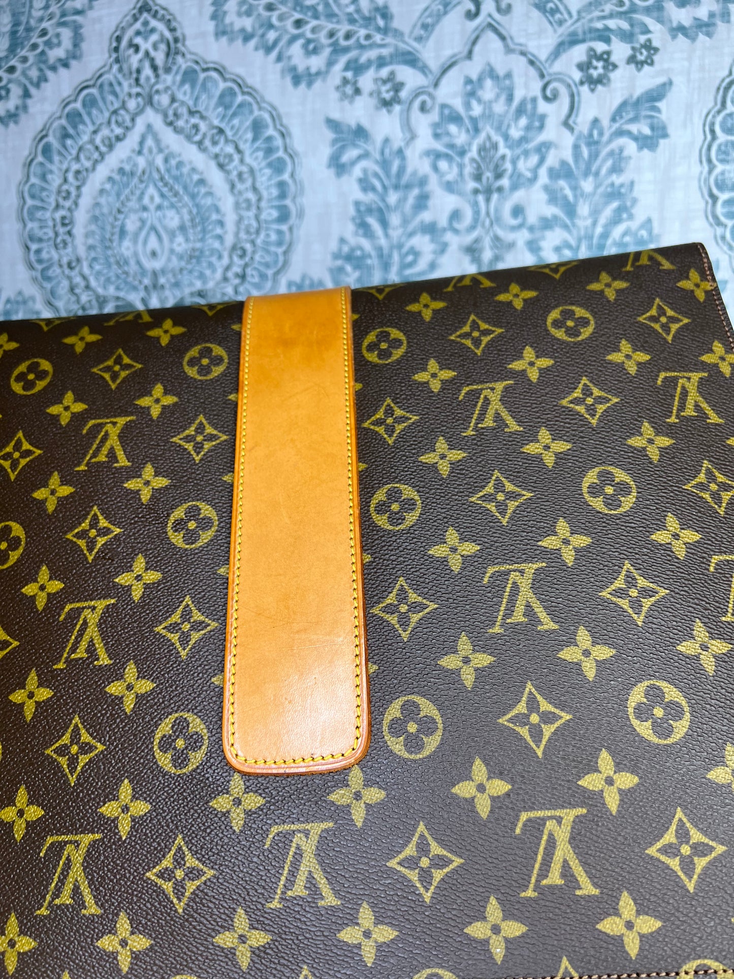 Lena Portfolio Case