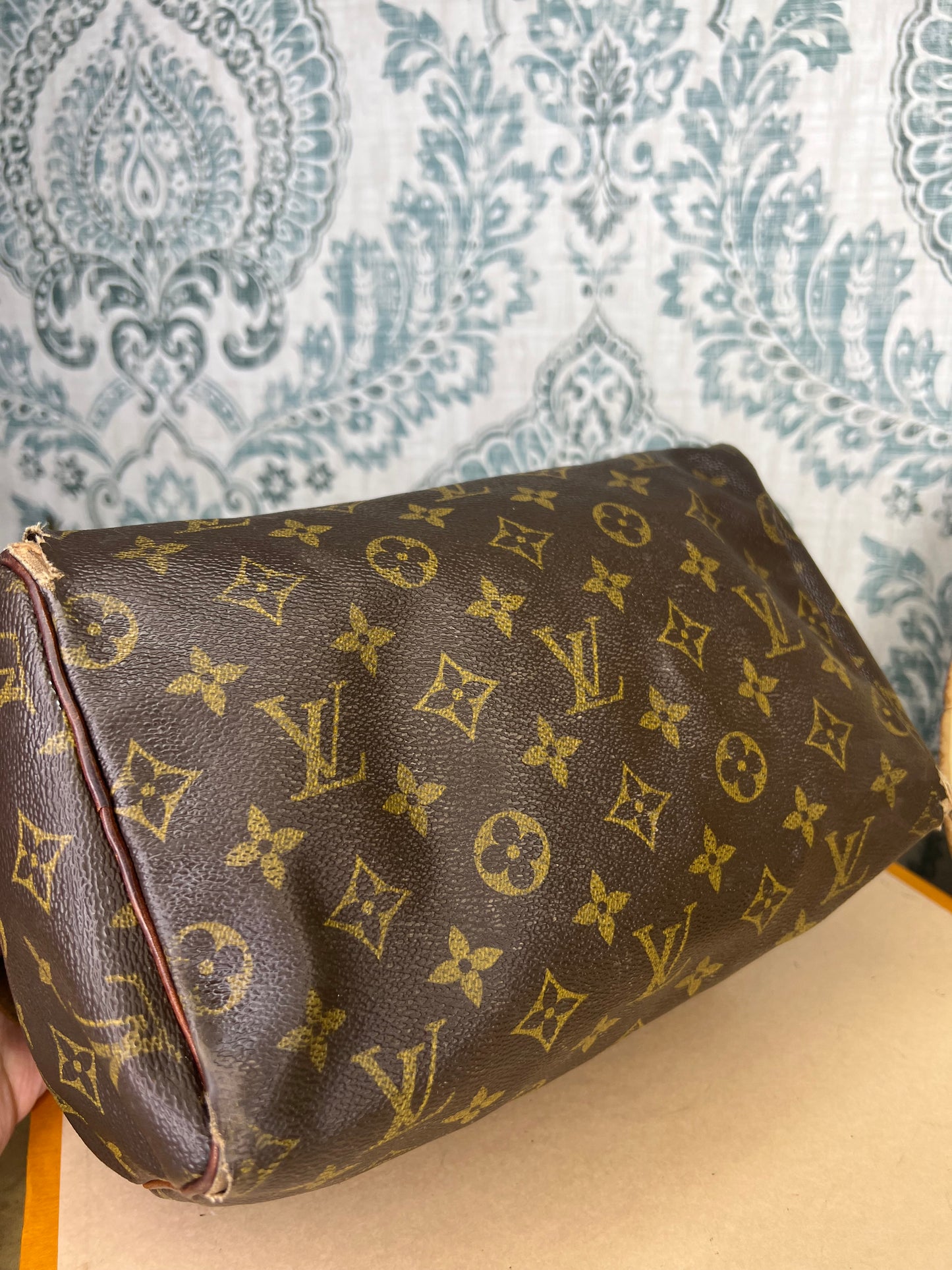 Louis Vuitton Speedy 25 (Project)