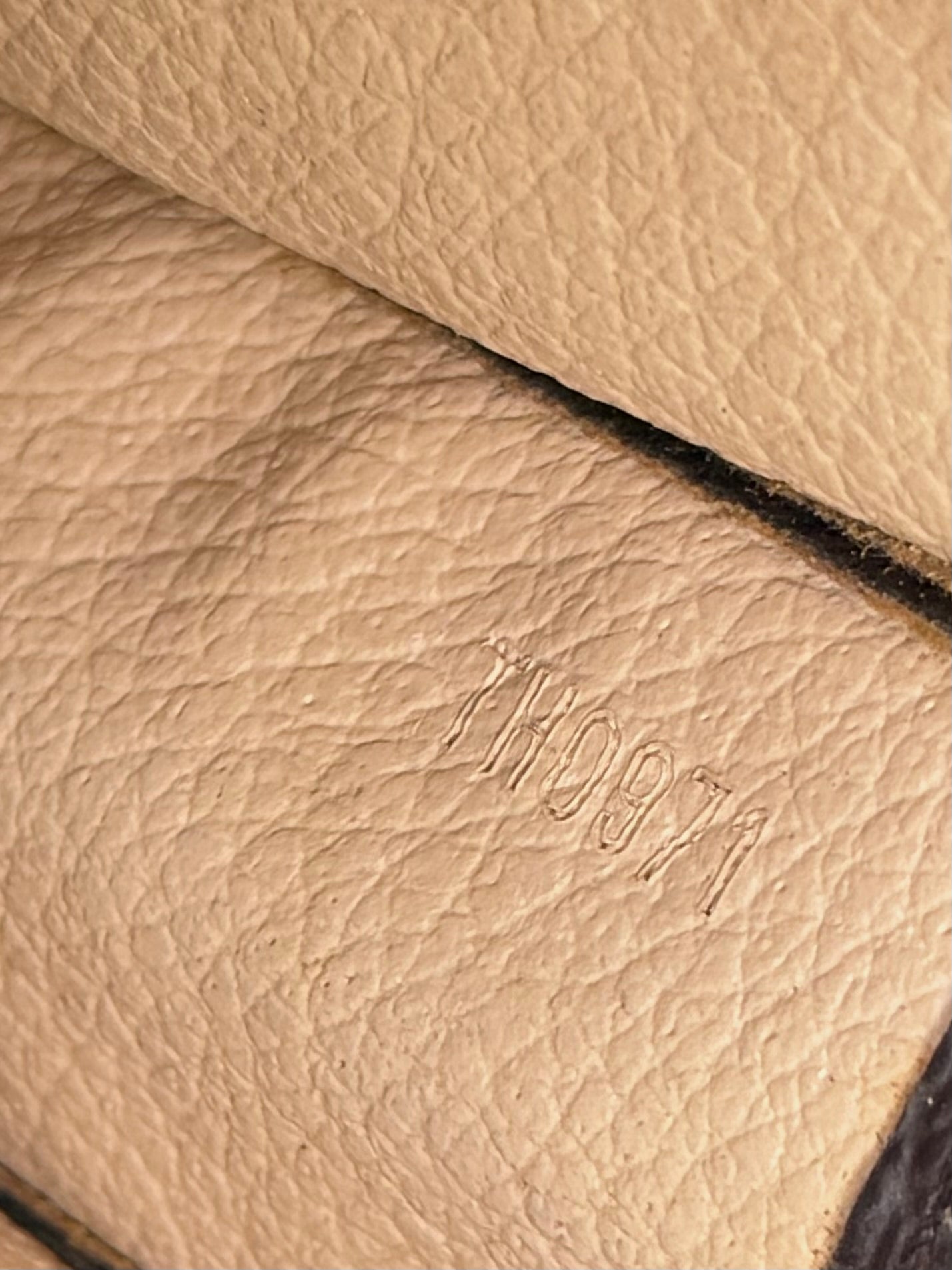 Louis Vuitton Toiletry 15 #2