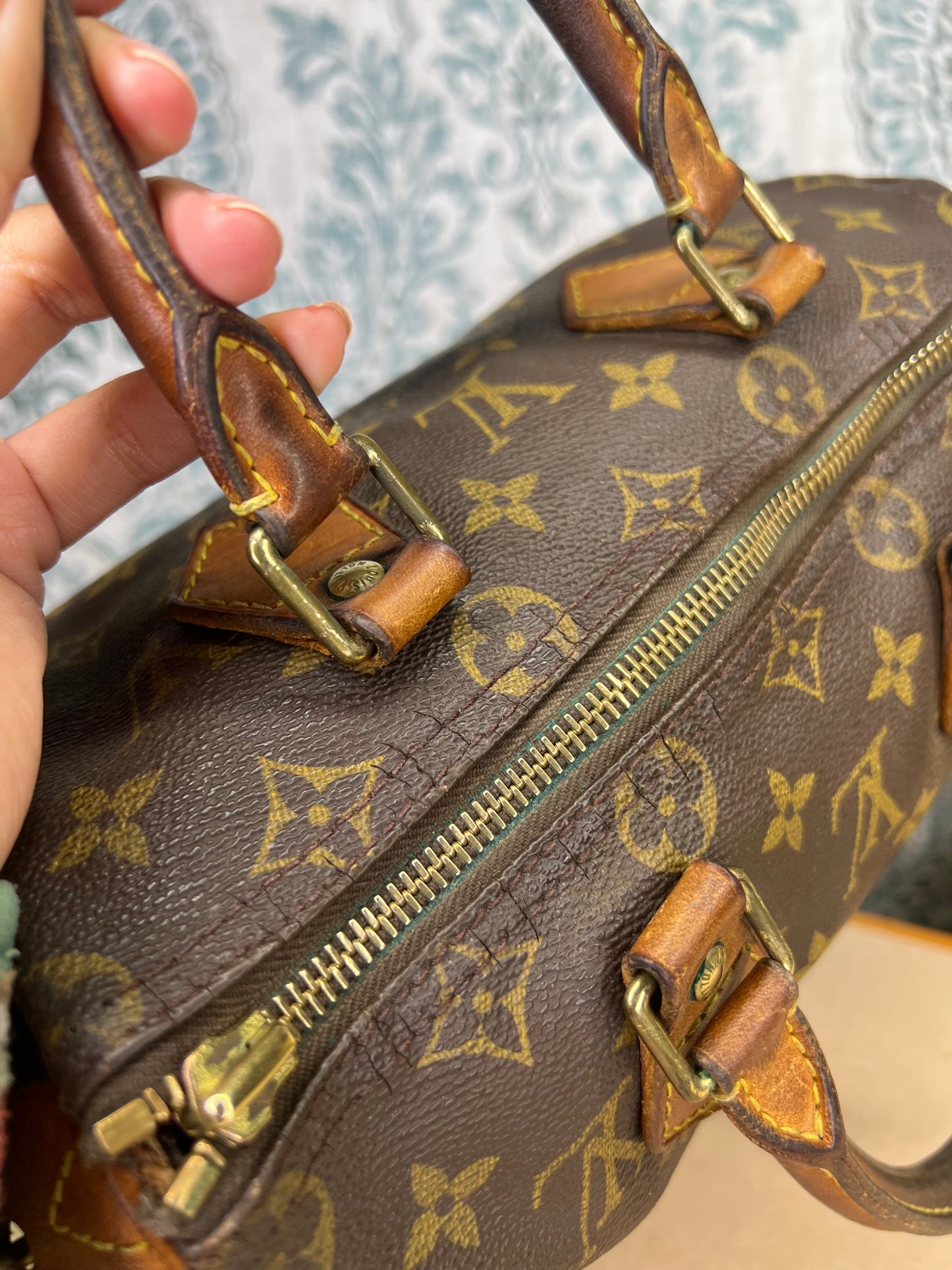 Louis Vuitton Speedy 25 (Project)
