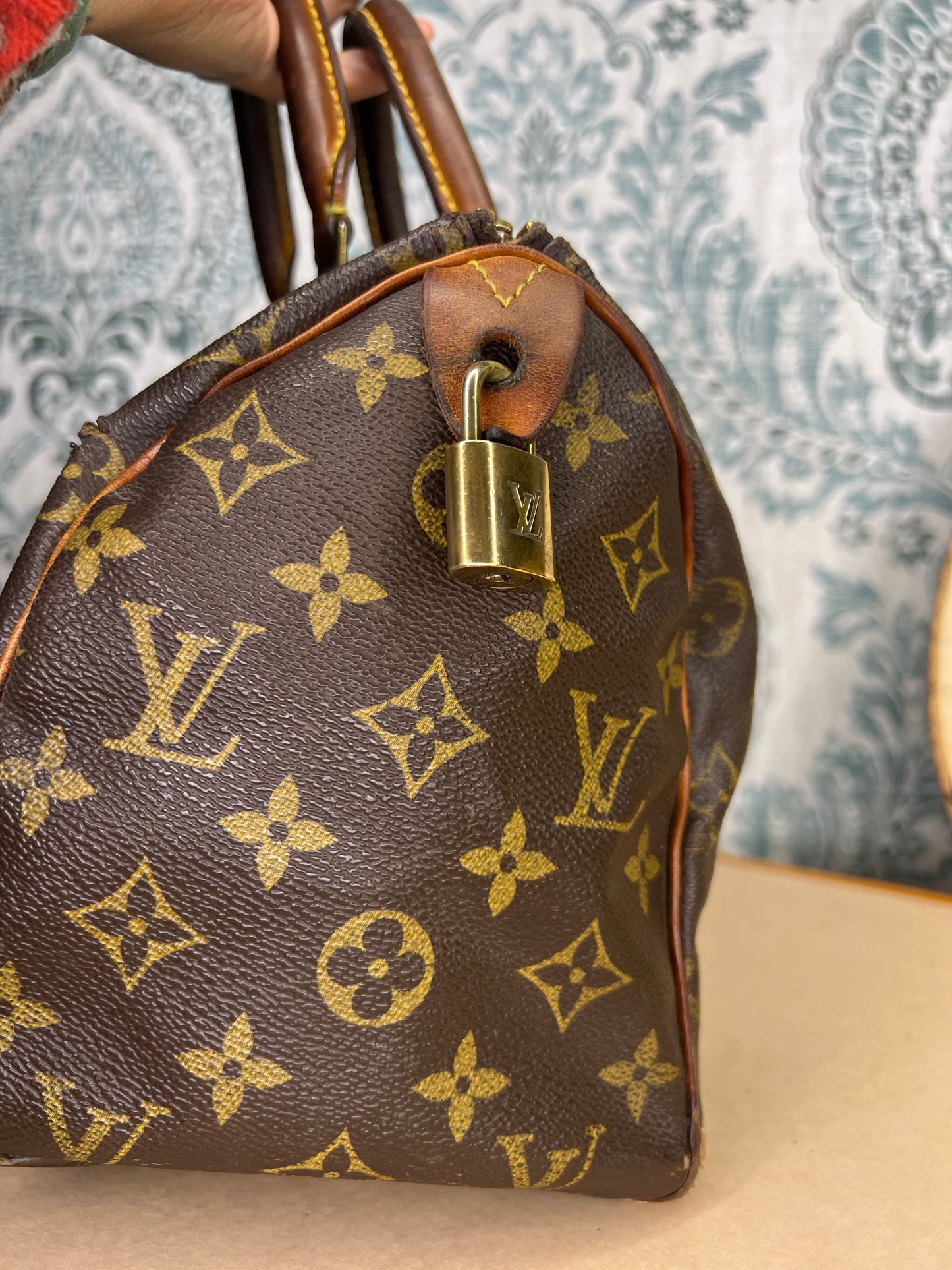 Louis Vuitton Speedy 25 (Project)
