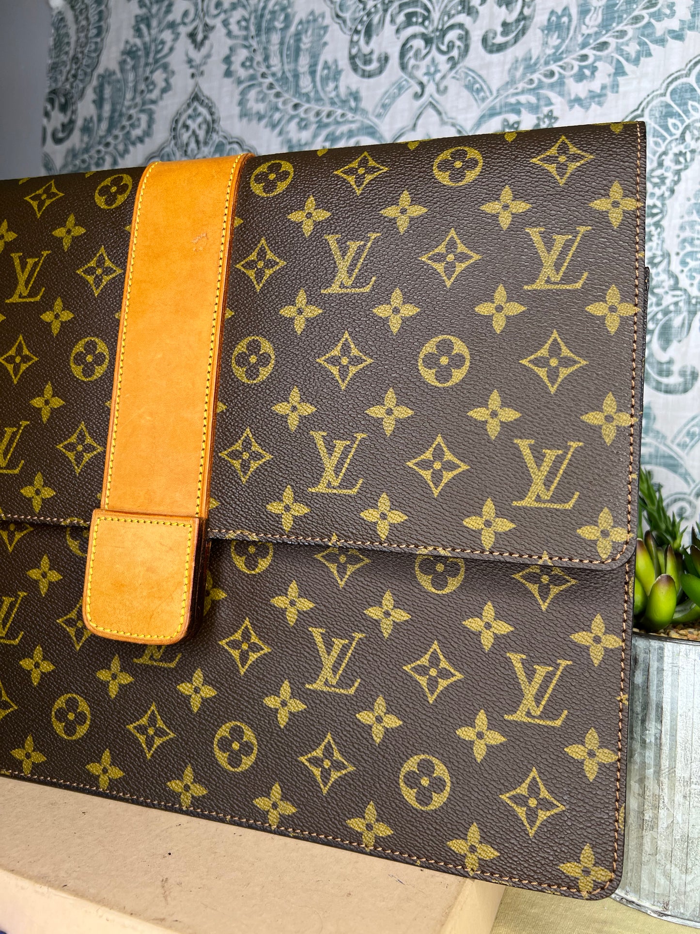 Lena Portfolio Case