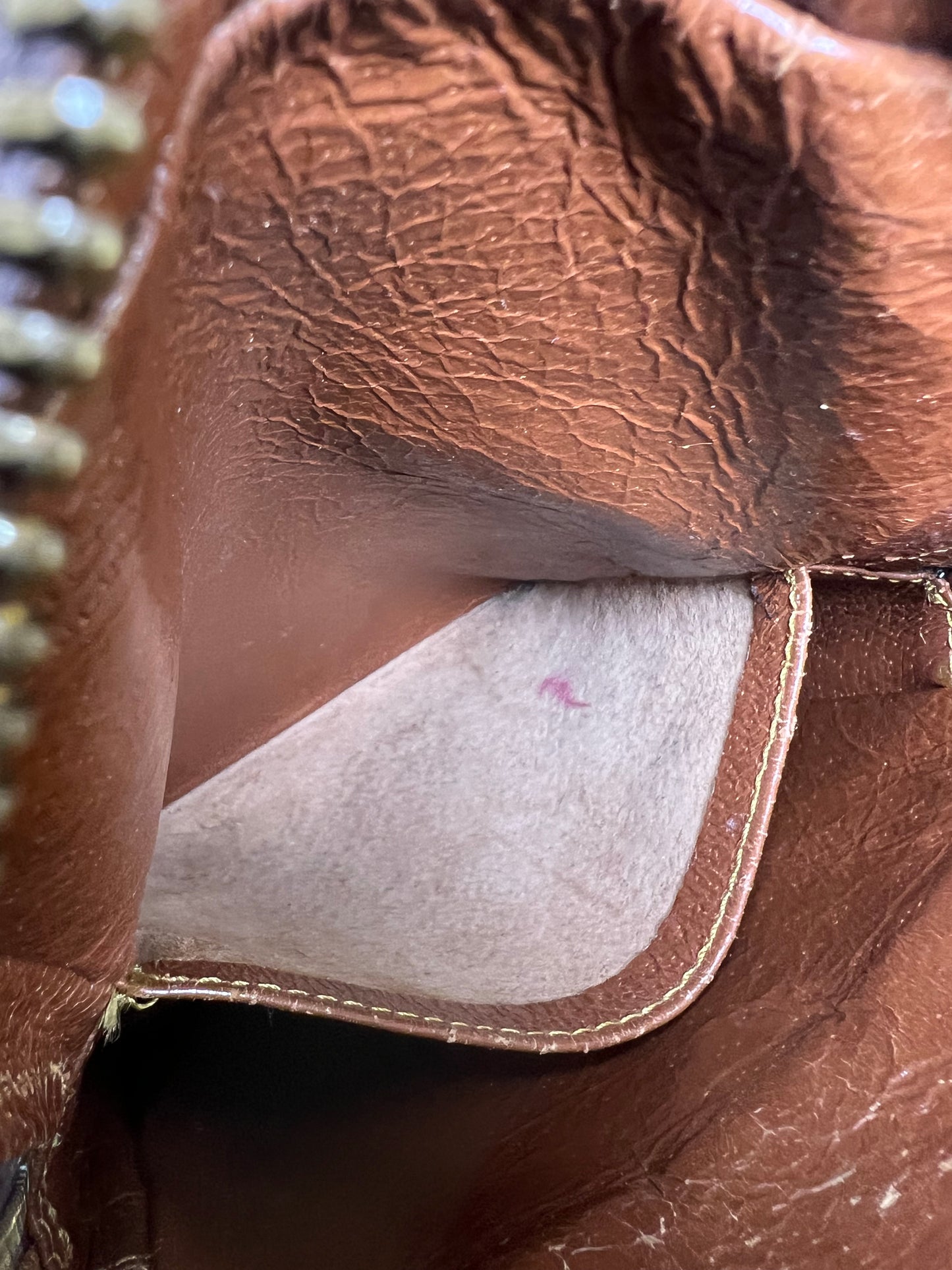 Louis Vuitton Project Amazon