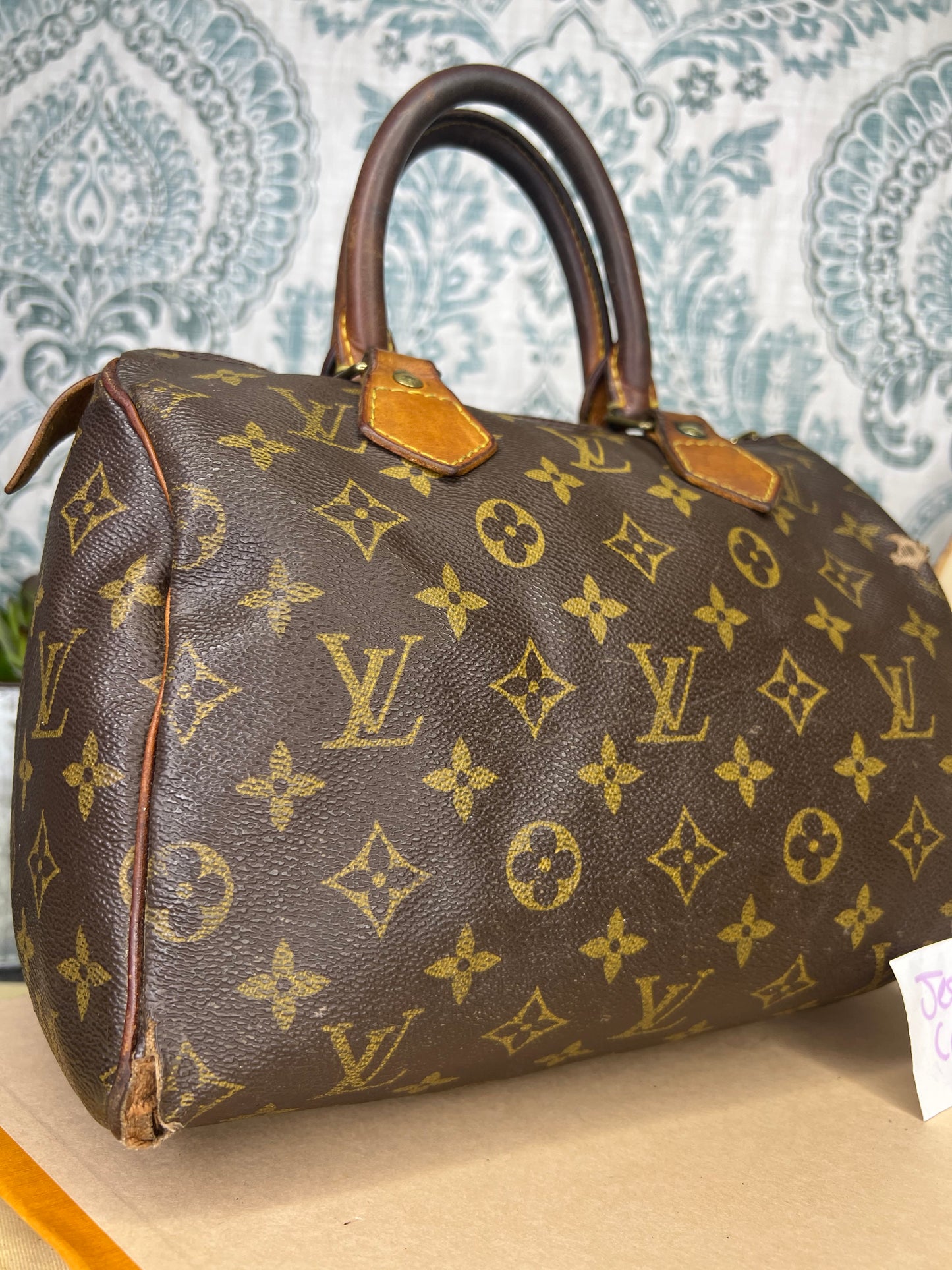 Louis Vuitton Speedy 25 (Project)