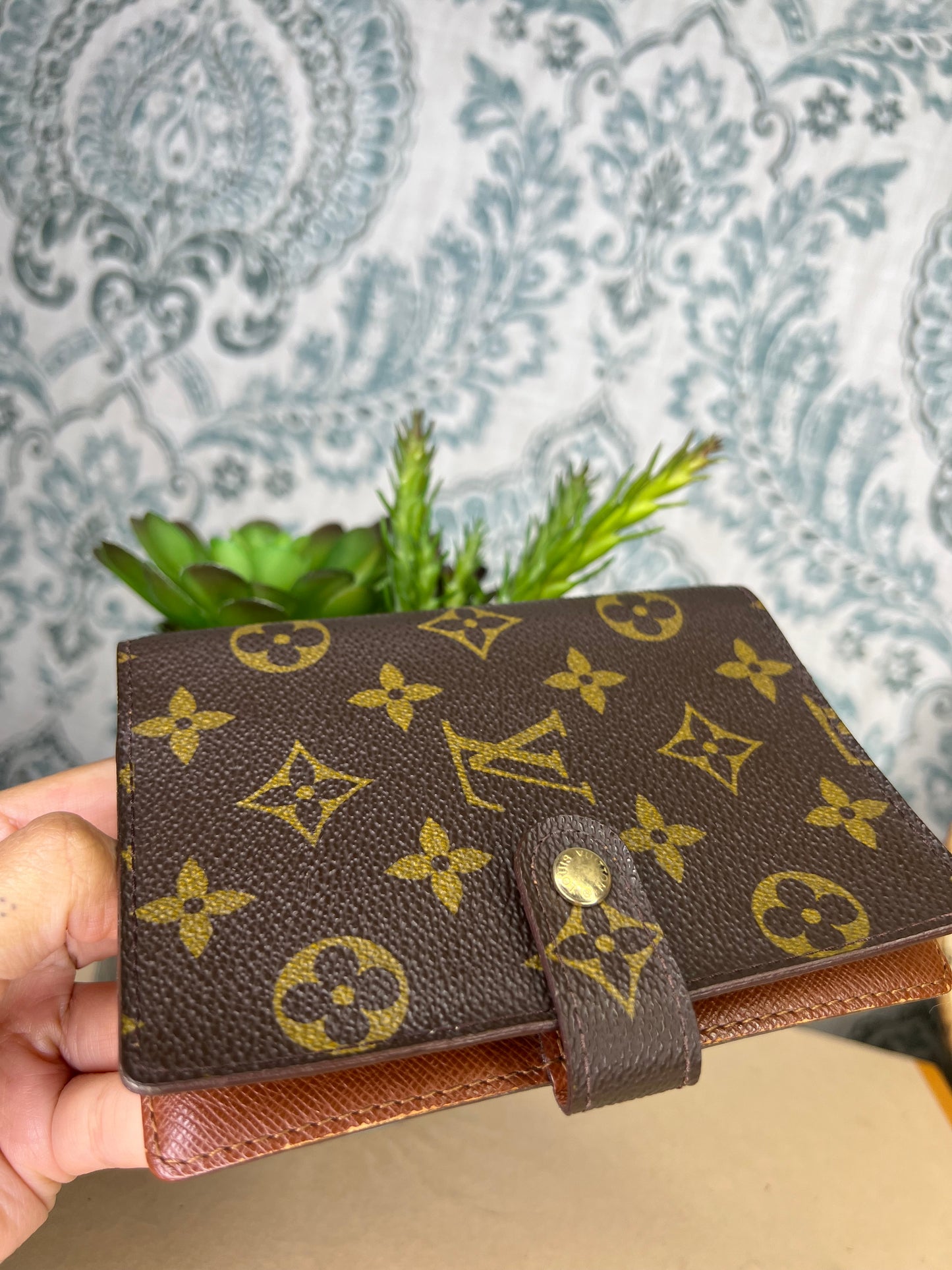 Louis Vuitton Amazon PM #1