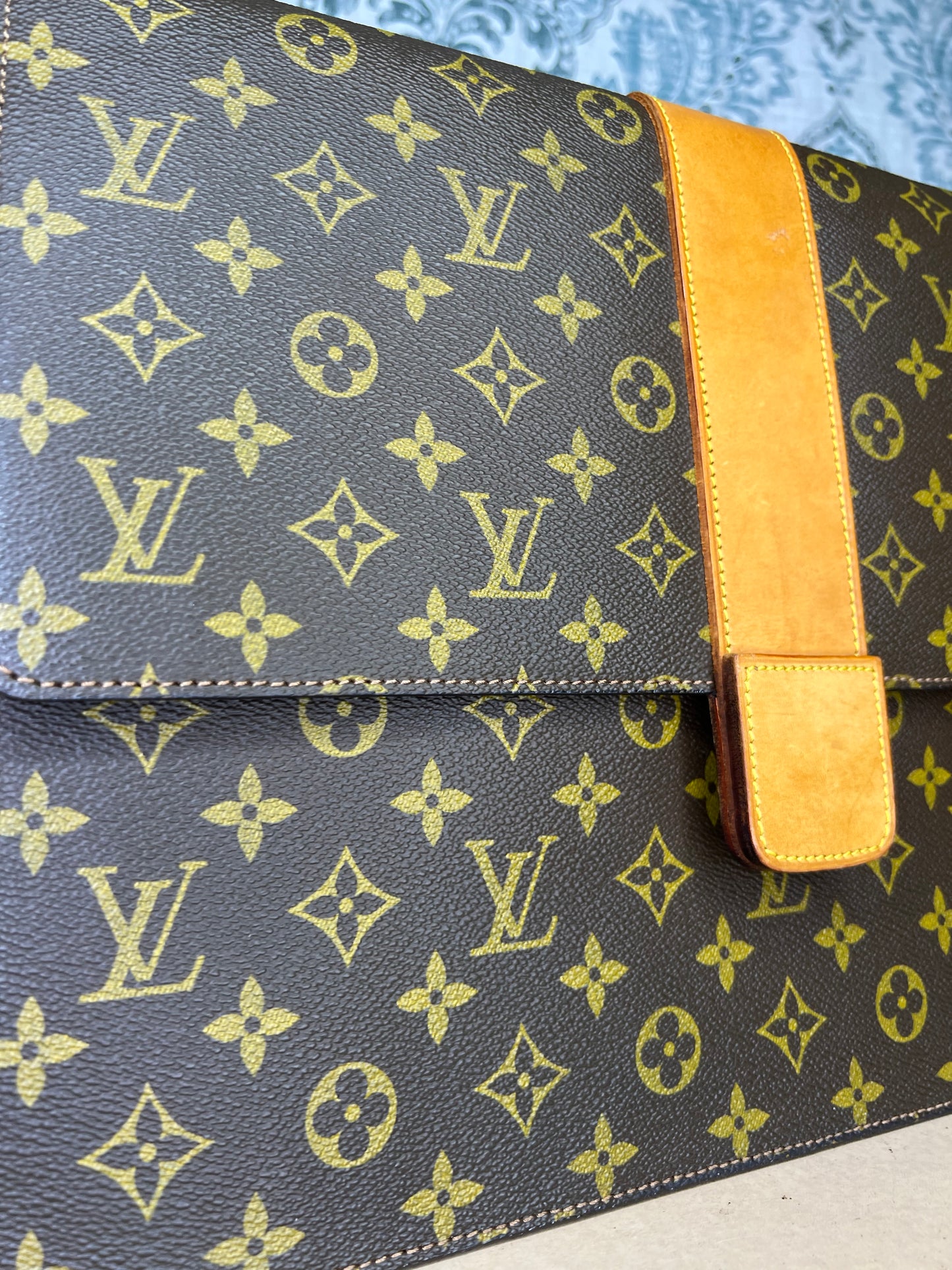 Lena Portfolio Case