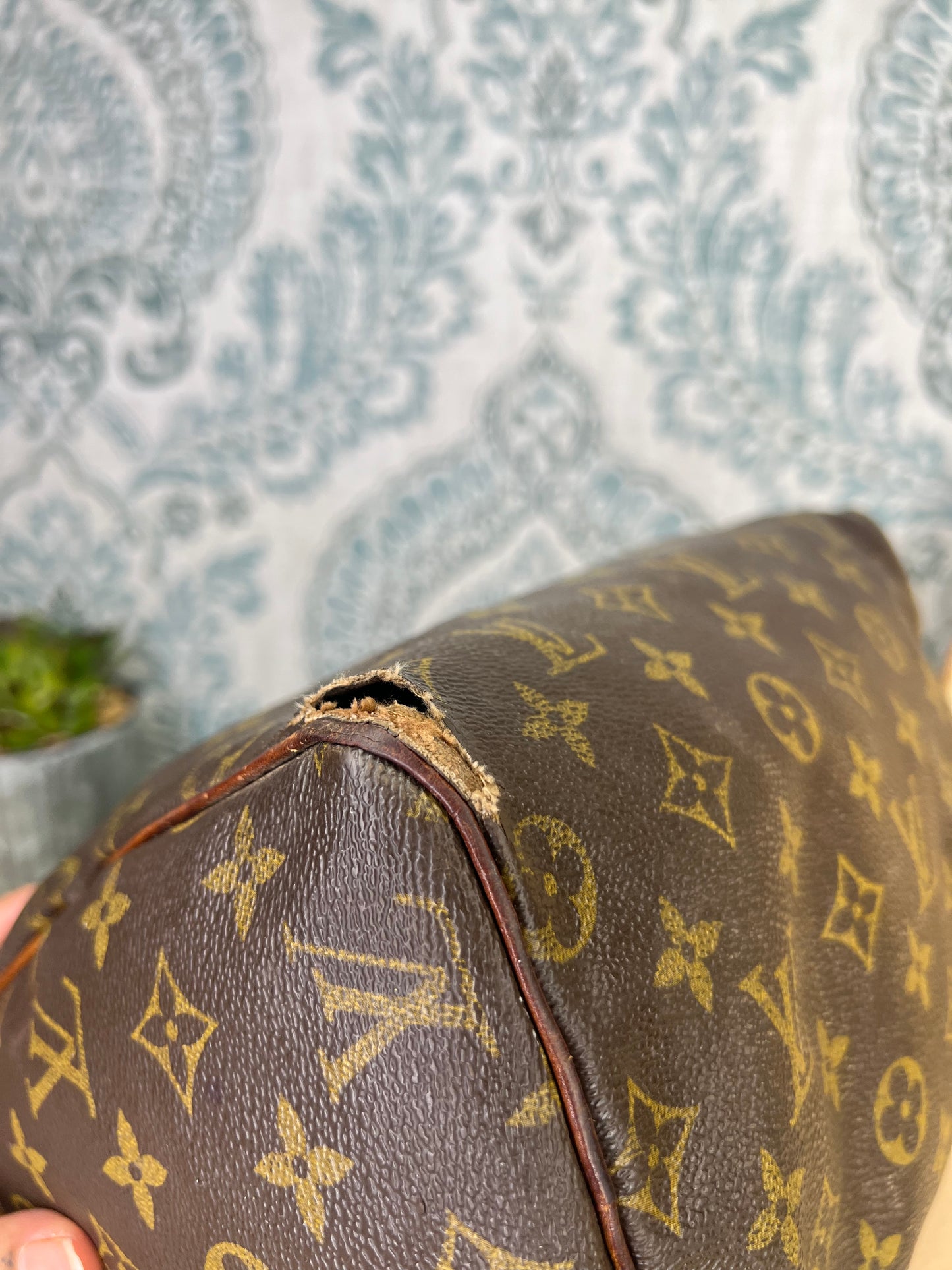 Louis Vuitton Speedy 25 (Project)