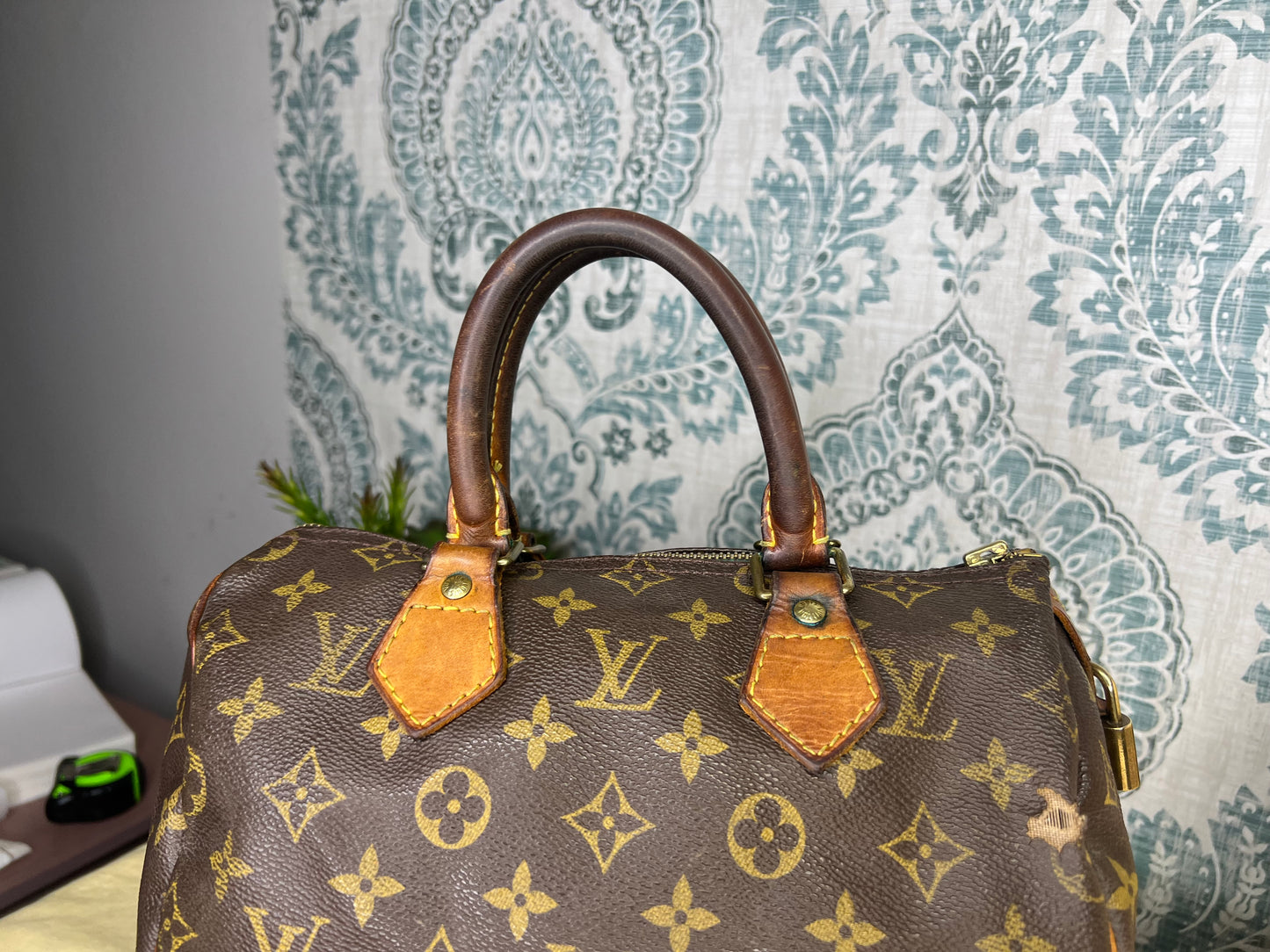 Louis Vuitton Speedy 25 (Project)
