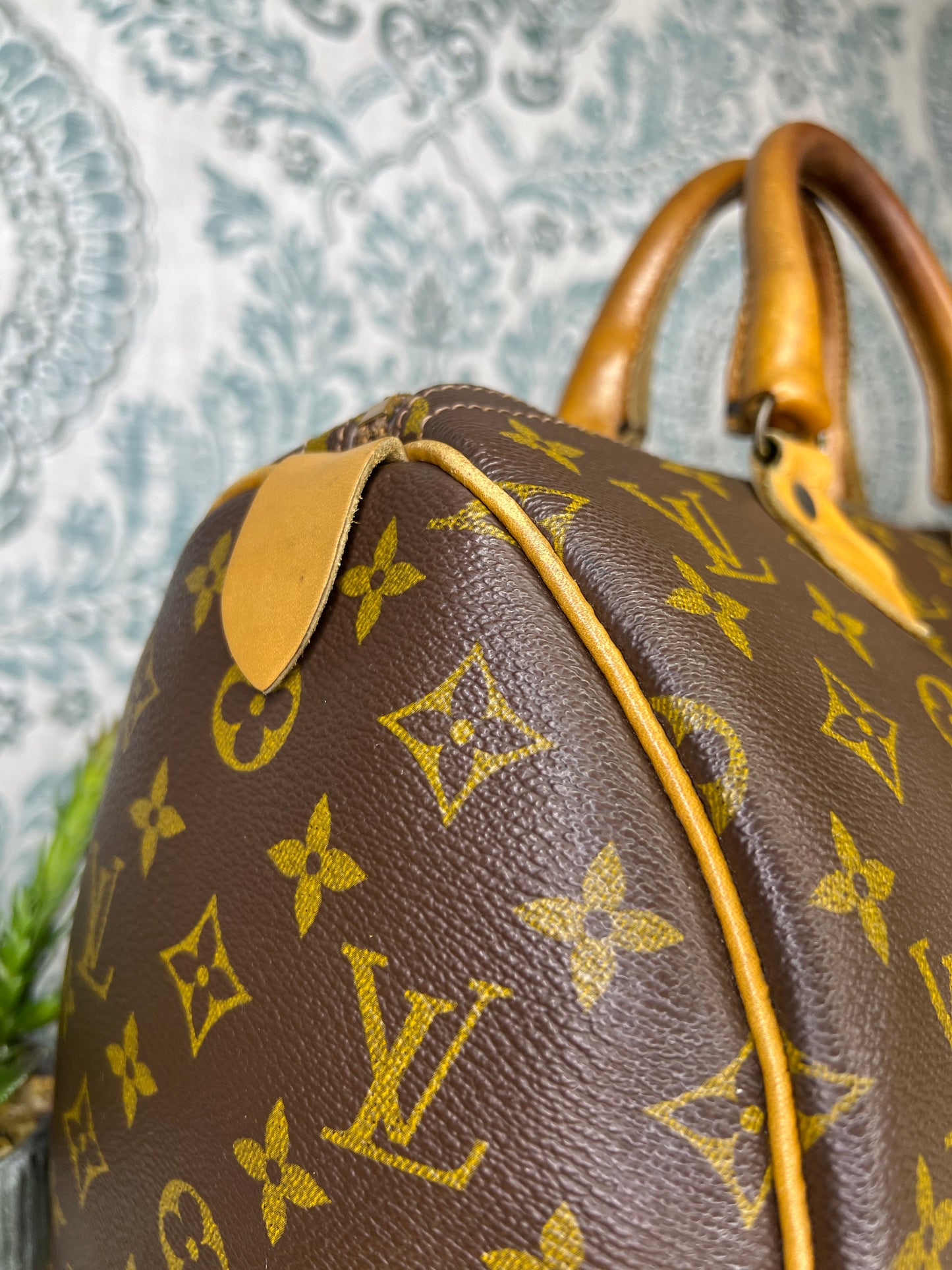 Louis Vuitton French Company Speedy 30