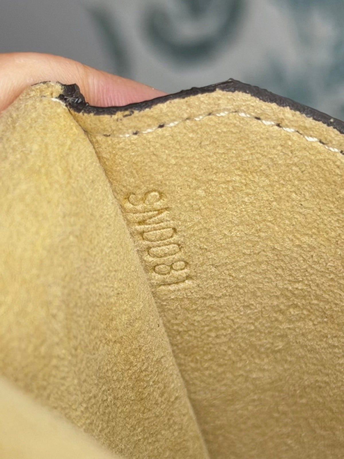 Louis Vuitton Etui Lunette Rabat Glasses Case #1