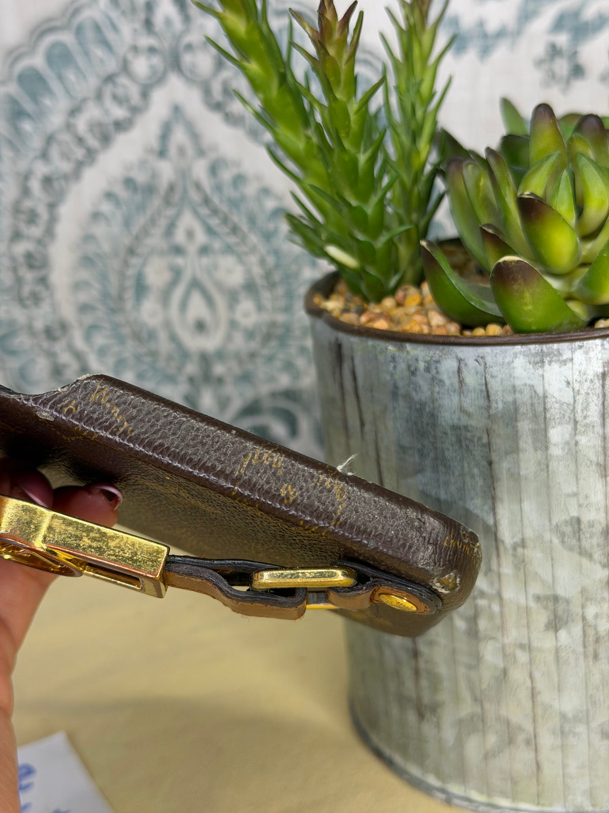 Louis Vuitton 13 Pro Monogram Case