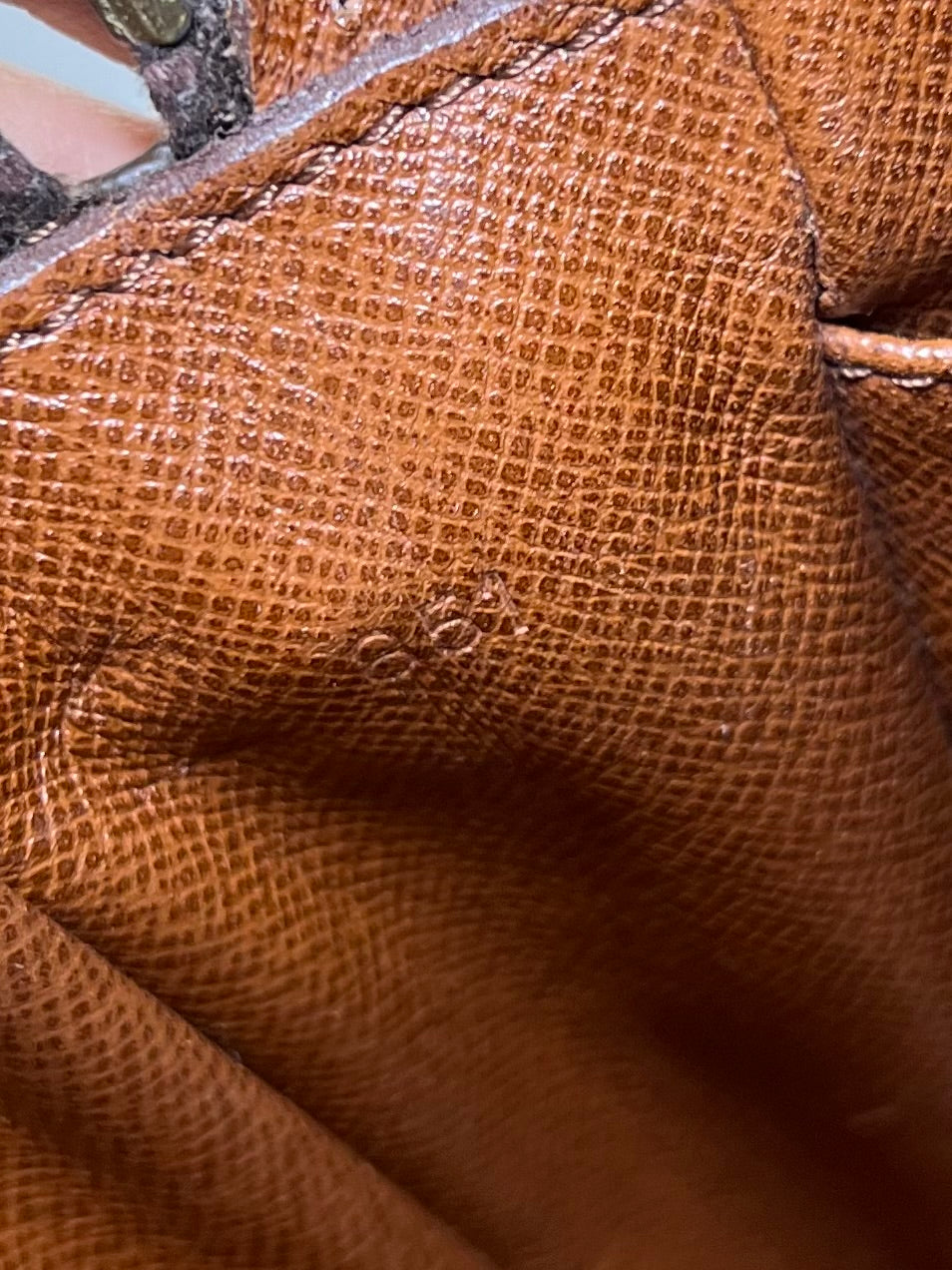 Louis Vuitton Amazon PM