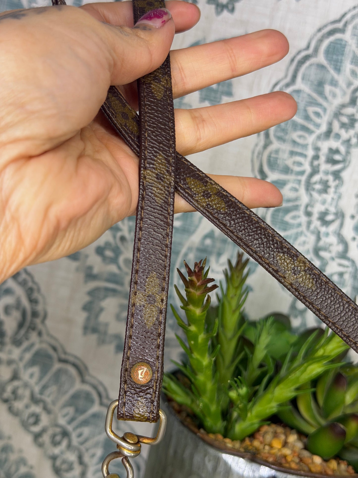 Louis Vuitton Pochette Accessories with Monogram Strap