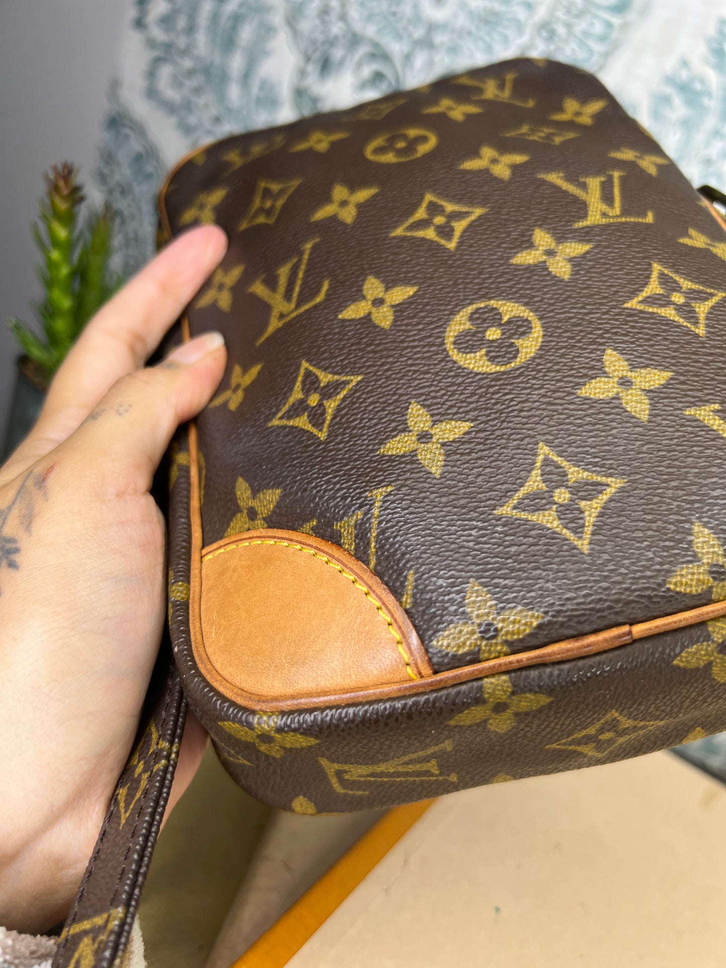 Louis Vuitton Danube PM #1