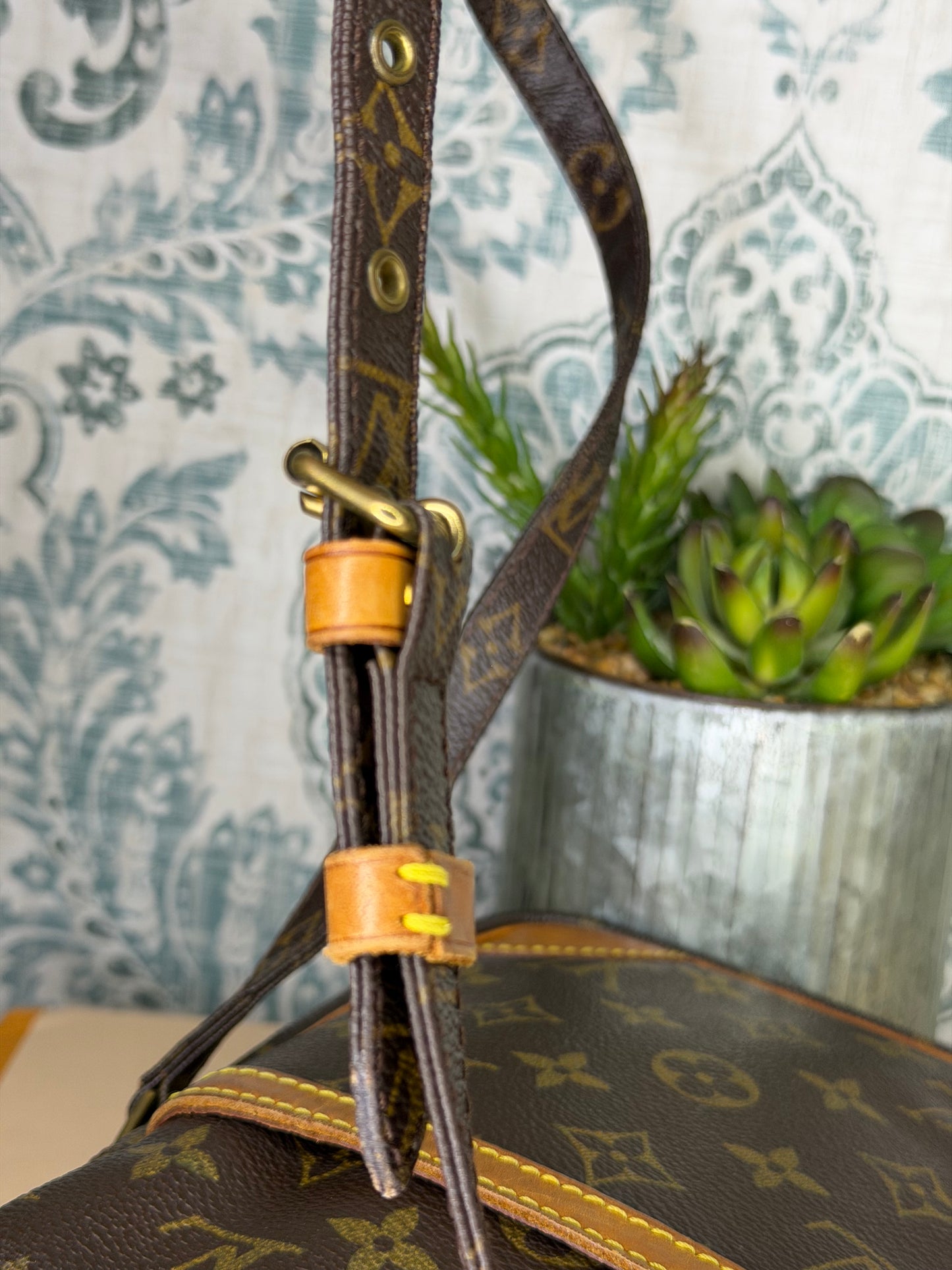 Louis Vuitton Danube PM #1