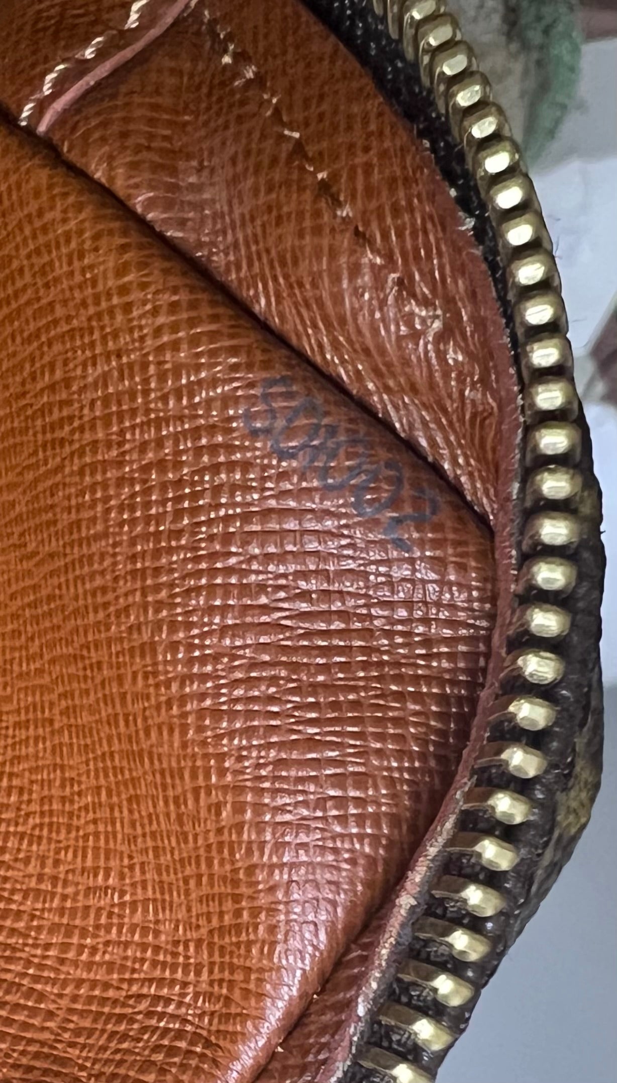 Louis Vuitton Danube PM #2