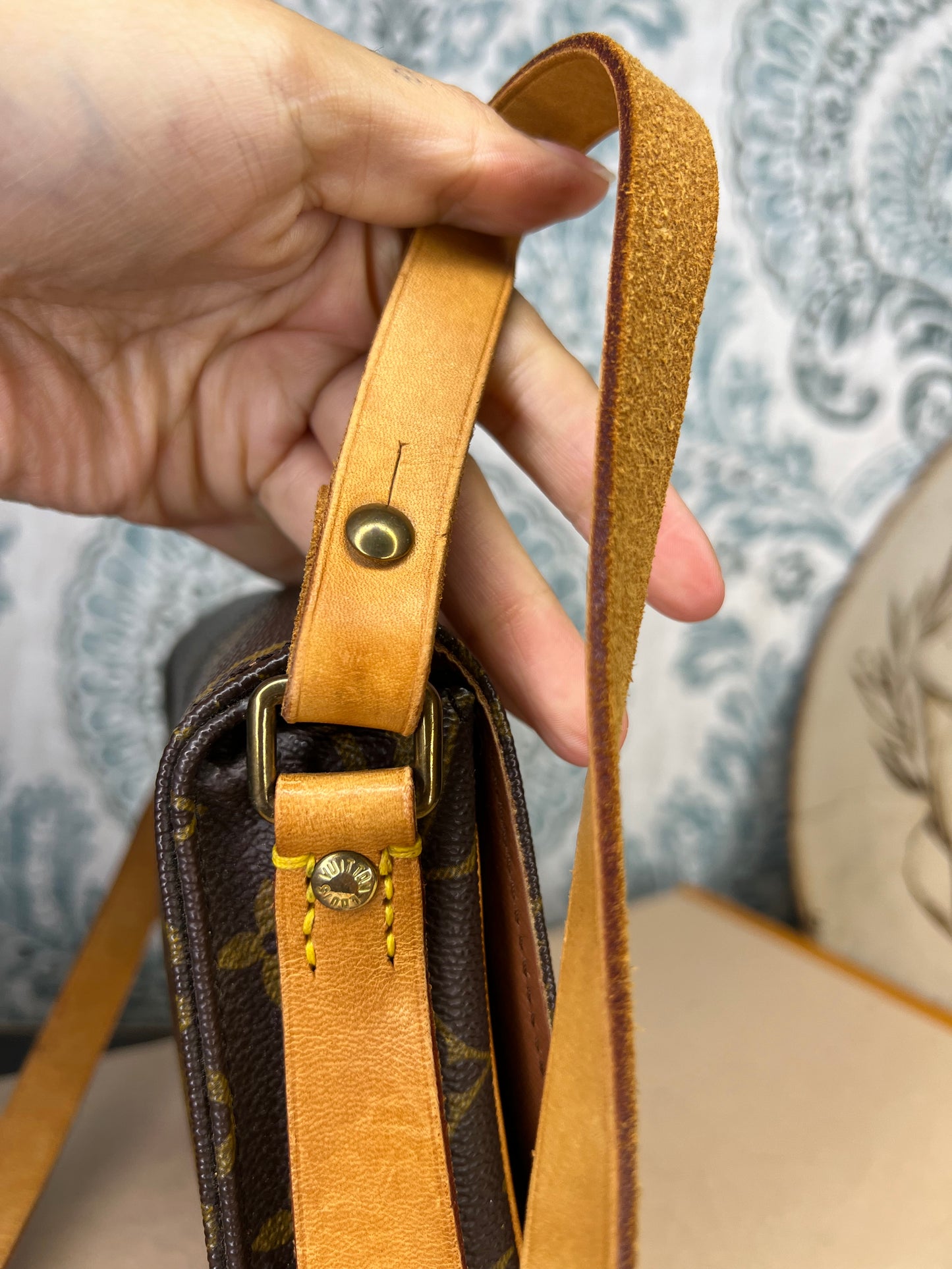 Louis Vuitton Cartouchiere PM