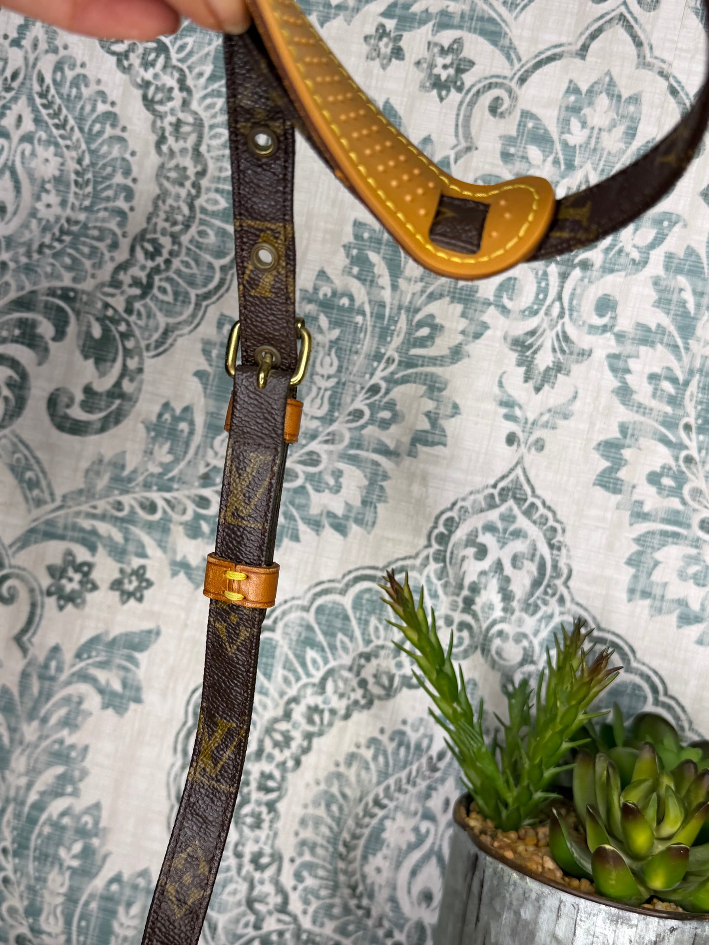 Louis Vuitton Danube PM #2