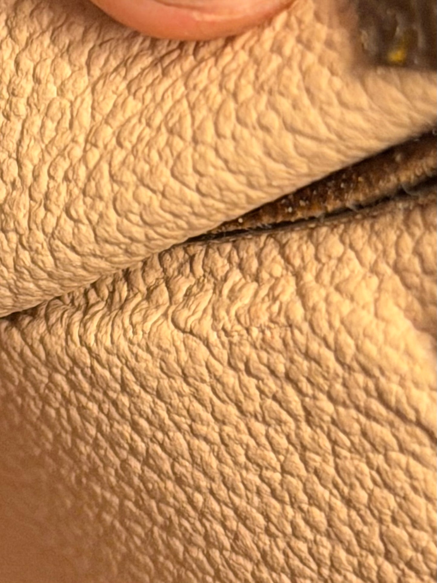 Louis Vuitton Sac Plat