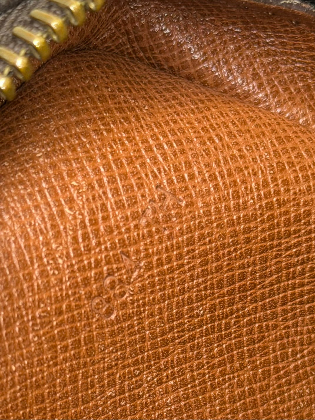 Louis Vuitton Amazon PM